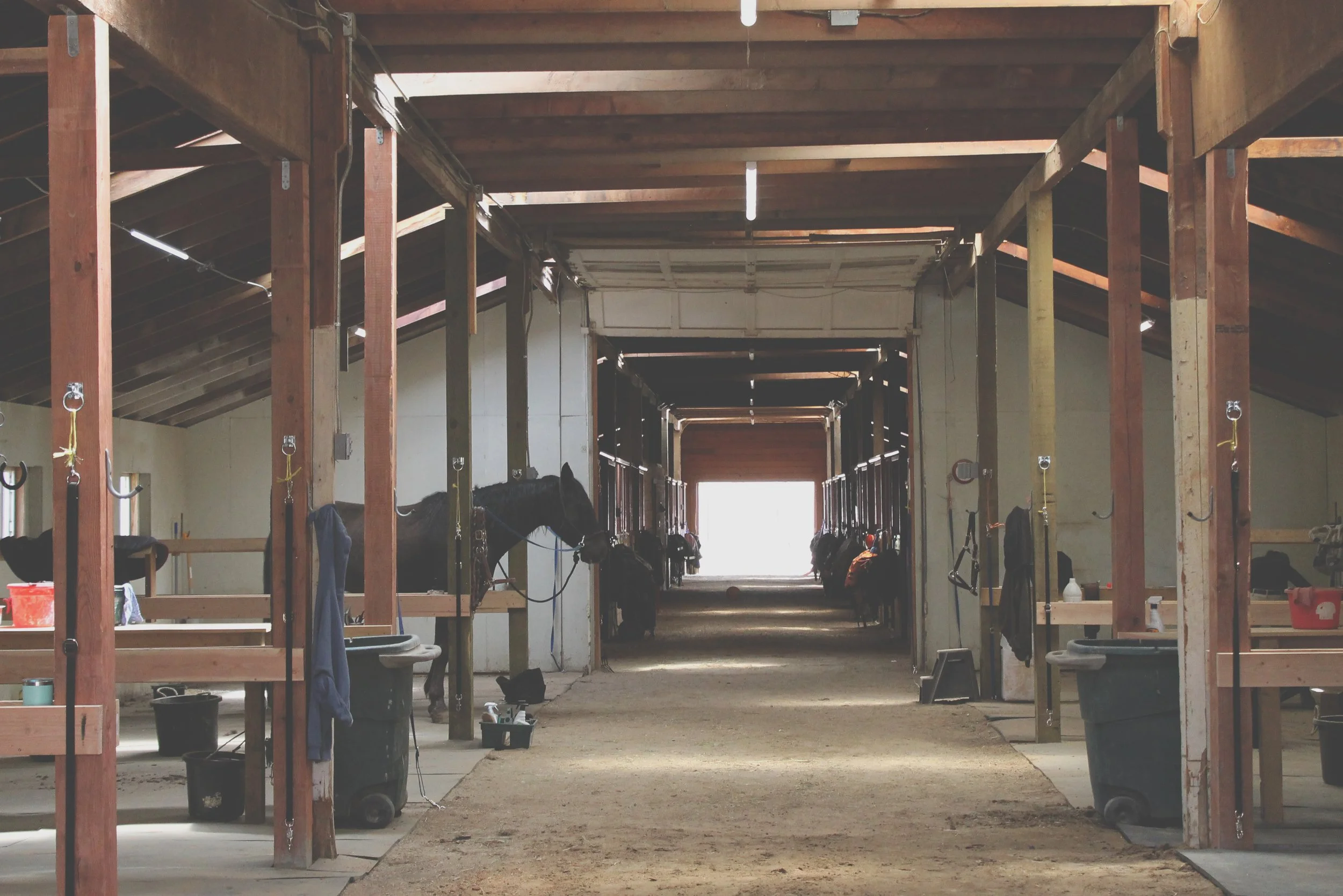 Horse Long Barn.jpg