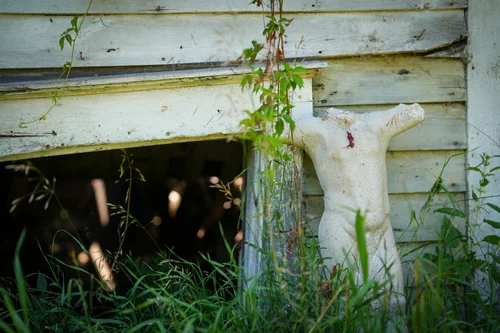 JR Photography. JR Photography