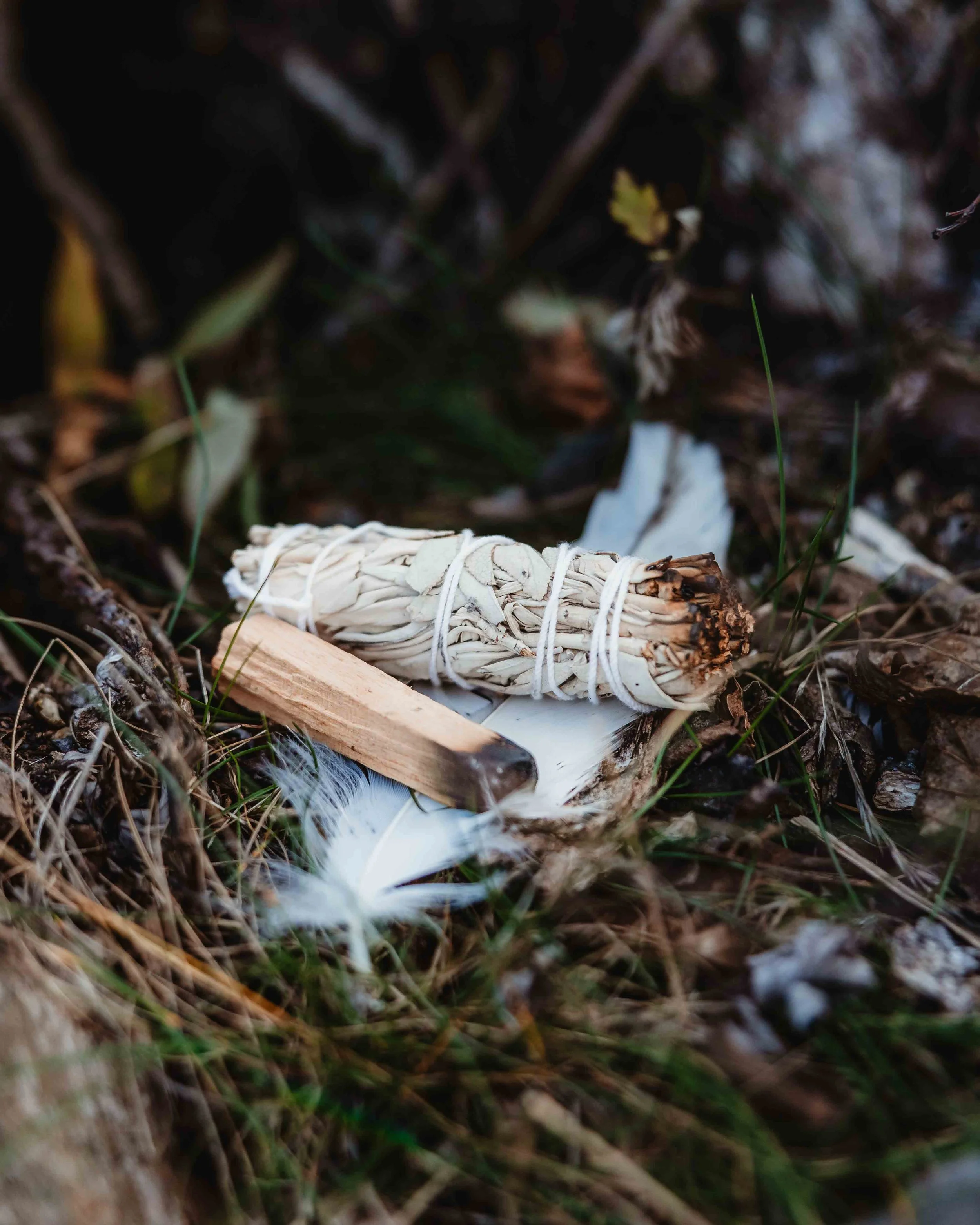JessicaJamesonPhoto-5437-2.jpg