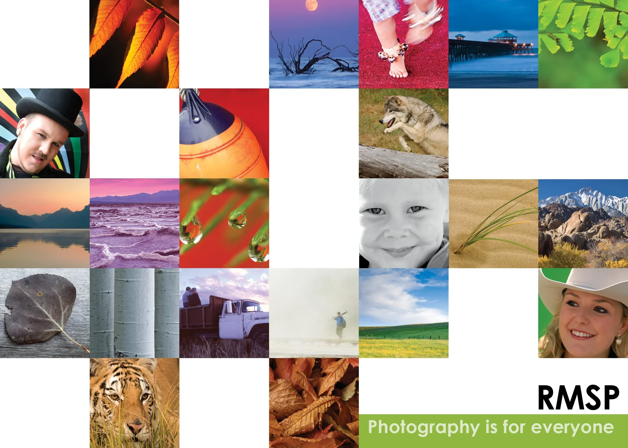 WS_Postcard2009.webp