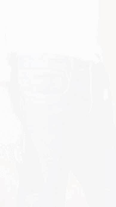lamina2susv2.gif
