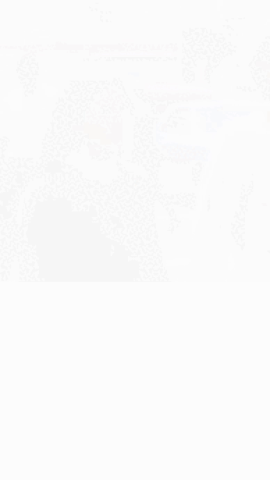lamina3sus.gif