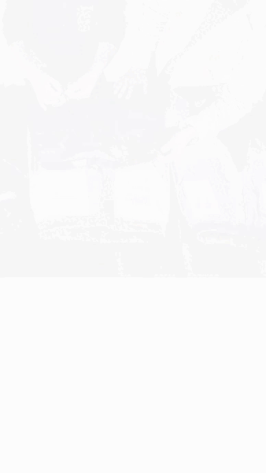 lamina2dc.gif