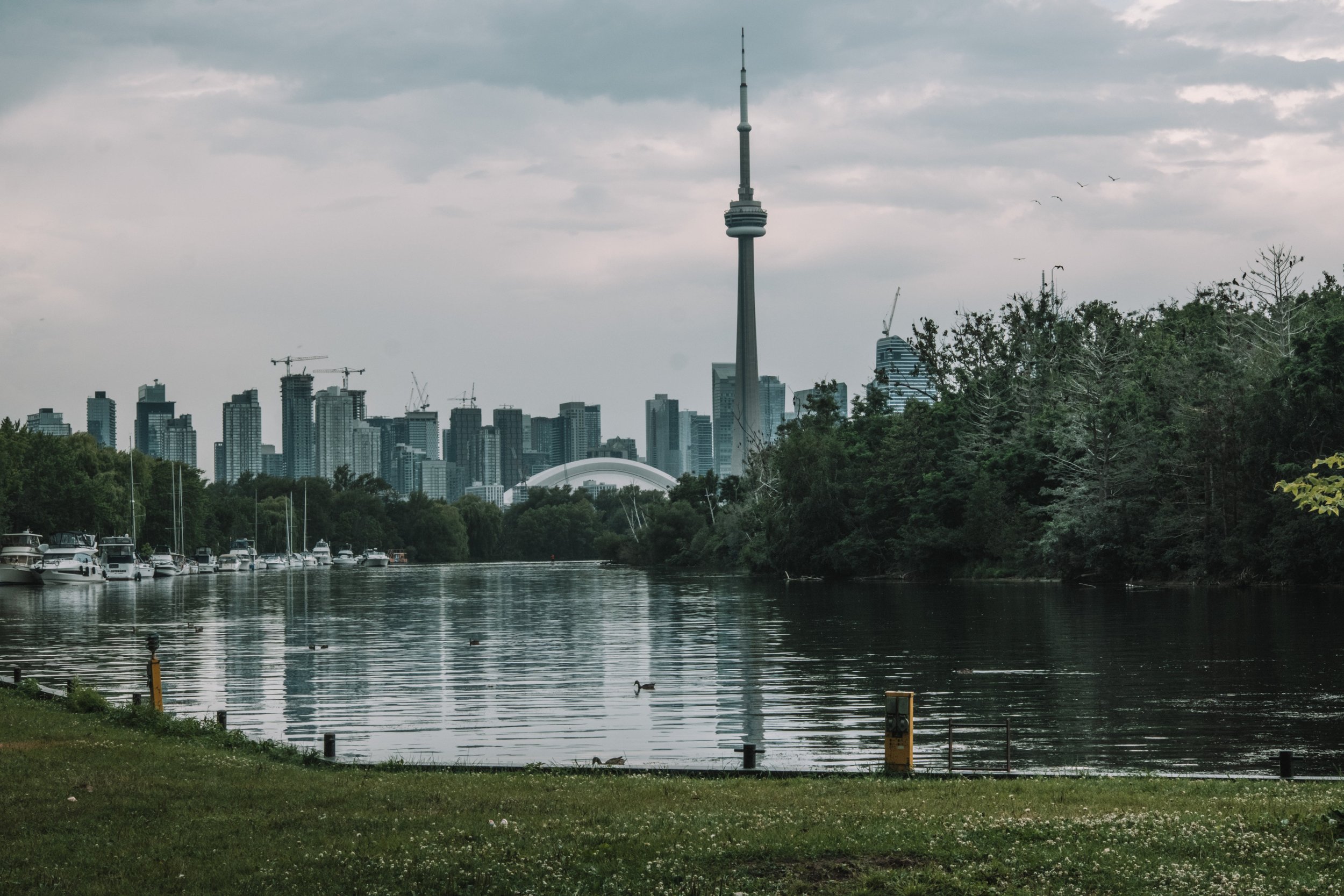 Navigating the Toronto Film Permit Process for Video Production Projects