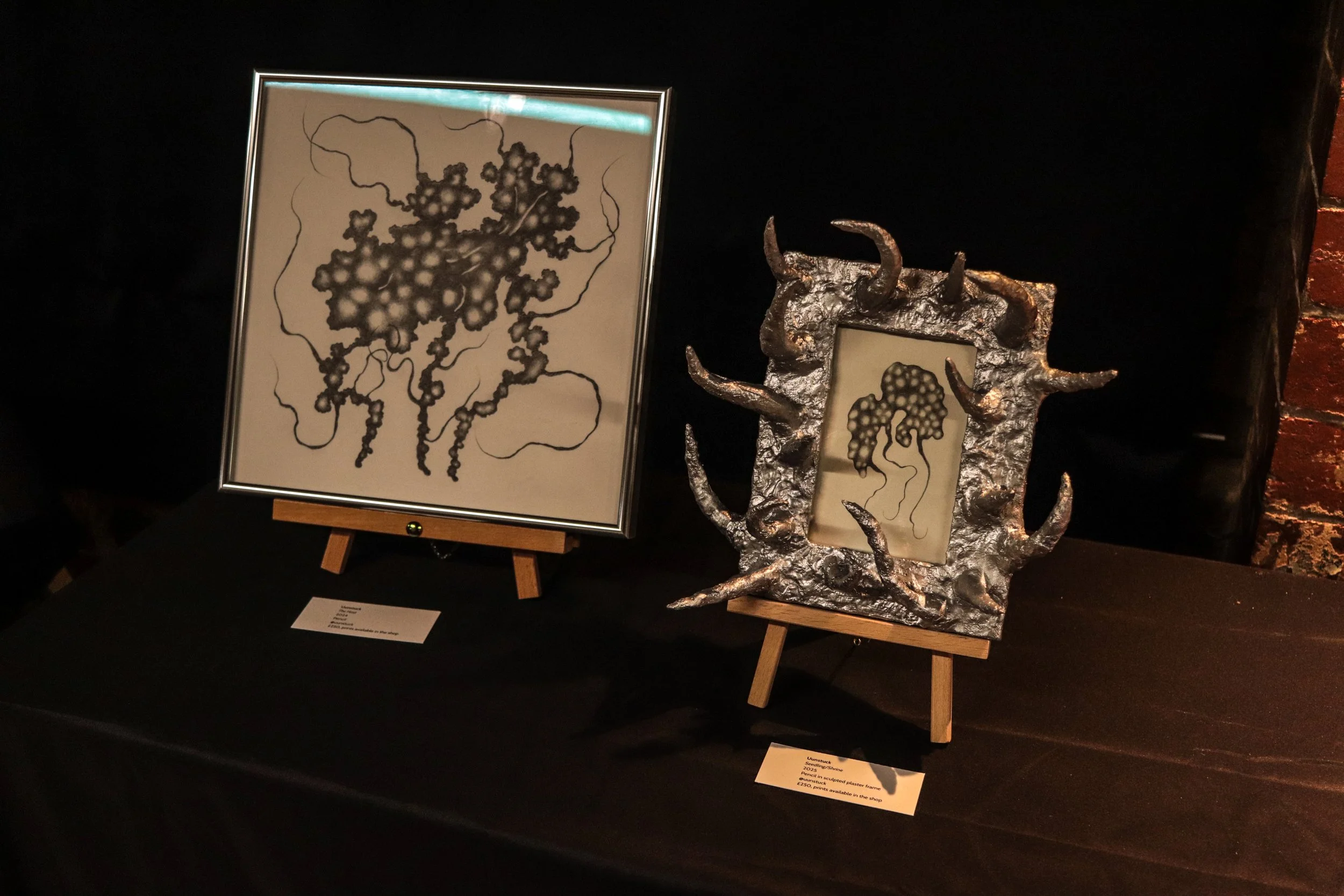 Fungi Exhibition (5).jpg