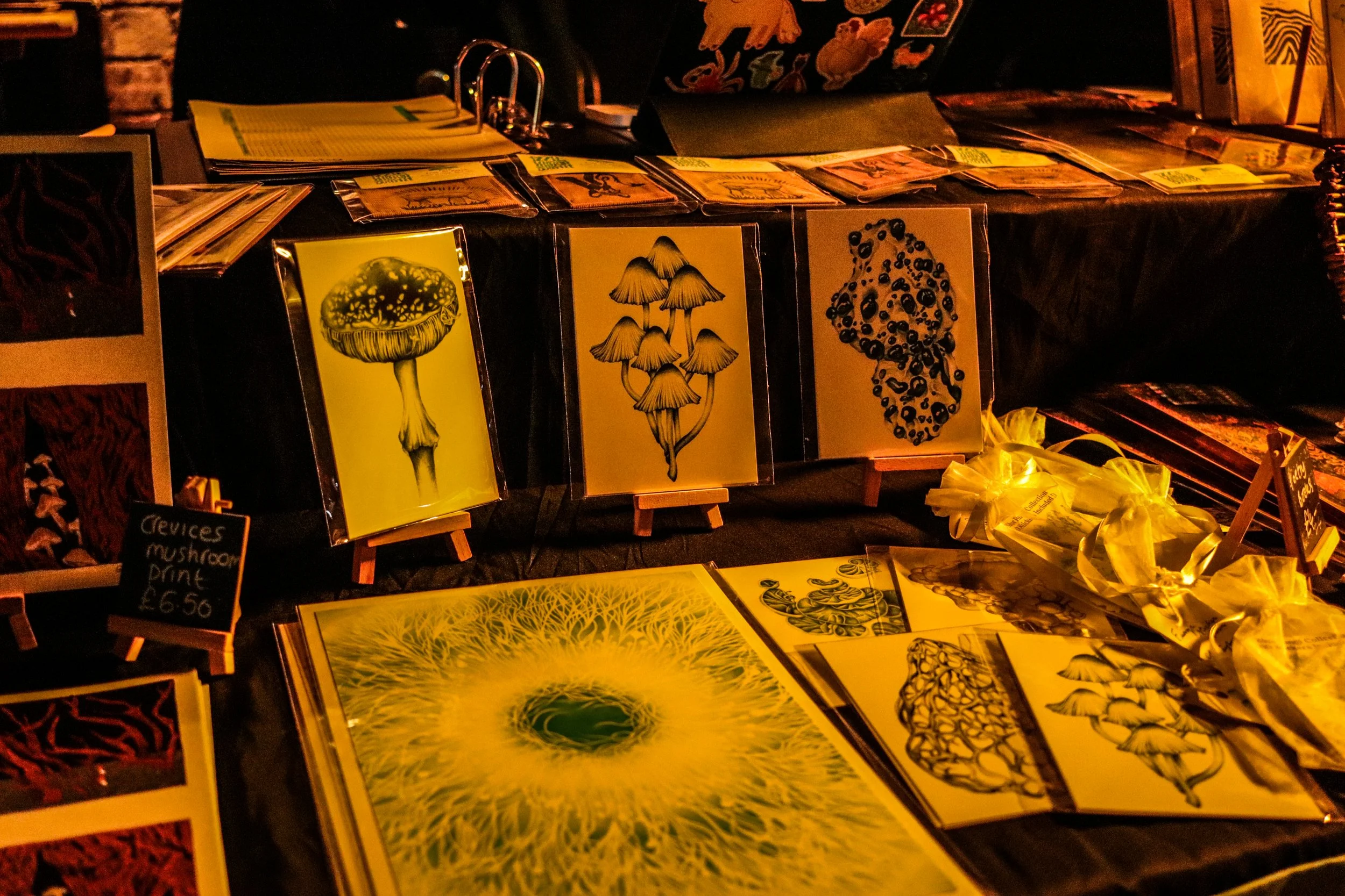 Fungi Exhibition (26).jpg