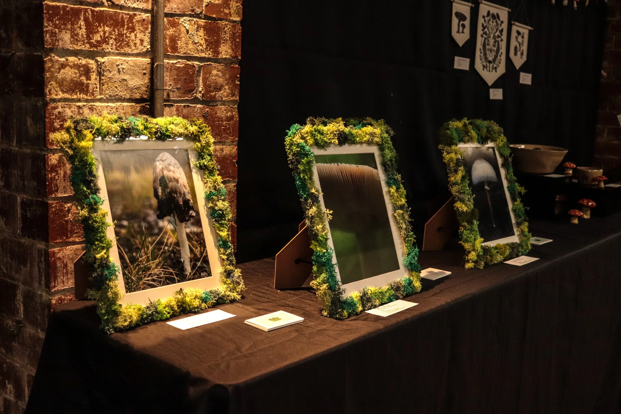 Fungi Exhibition (3).jpg