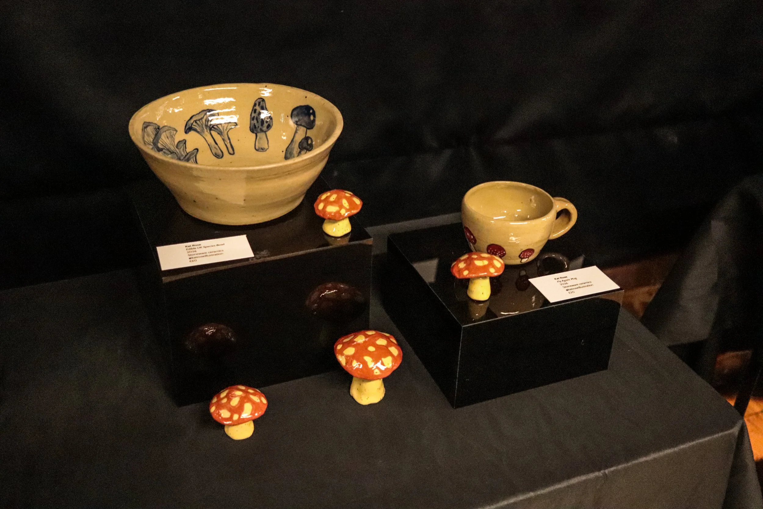 Fungi Exhibition (4).jpg