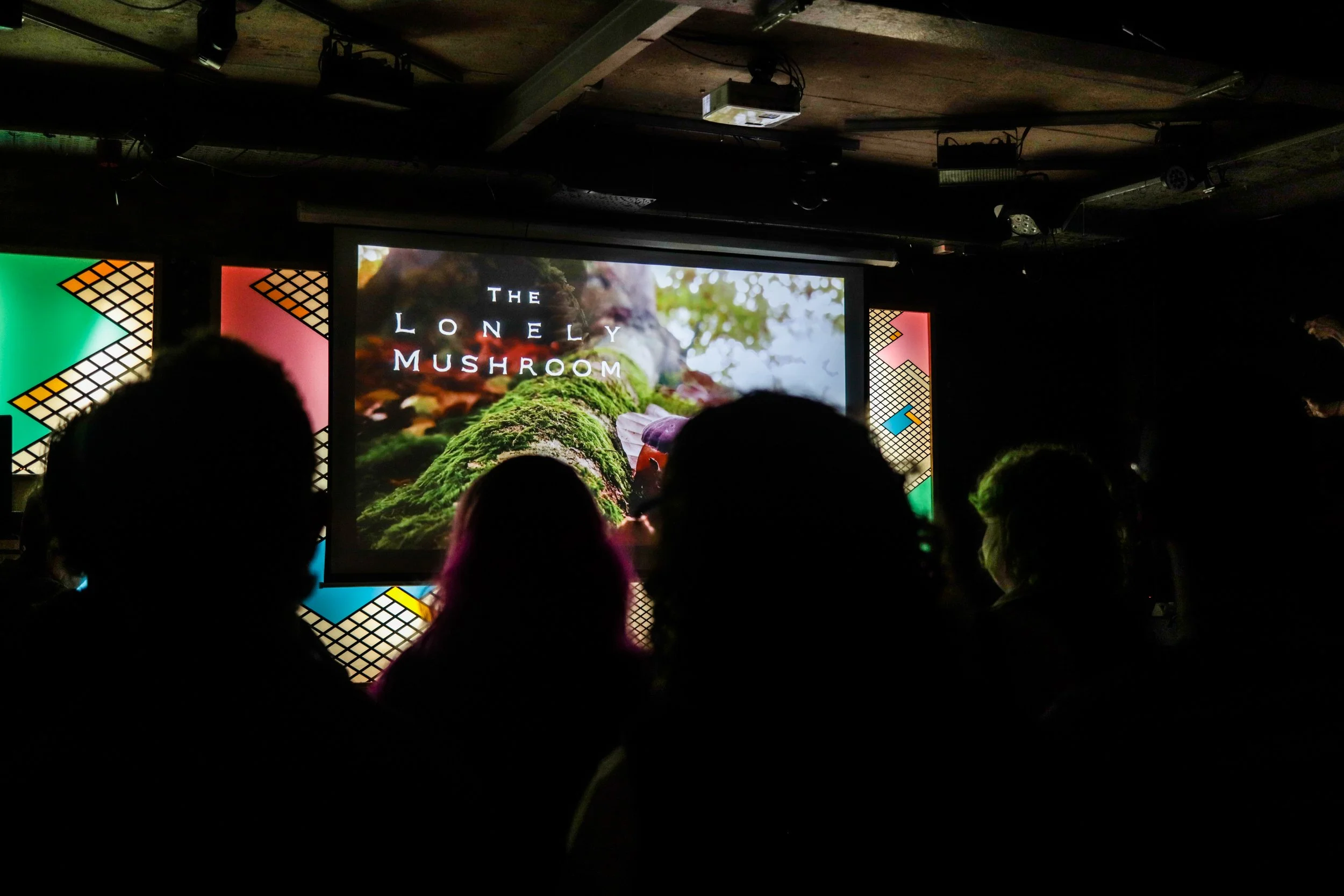 Fungi Exhibition (71).jpg