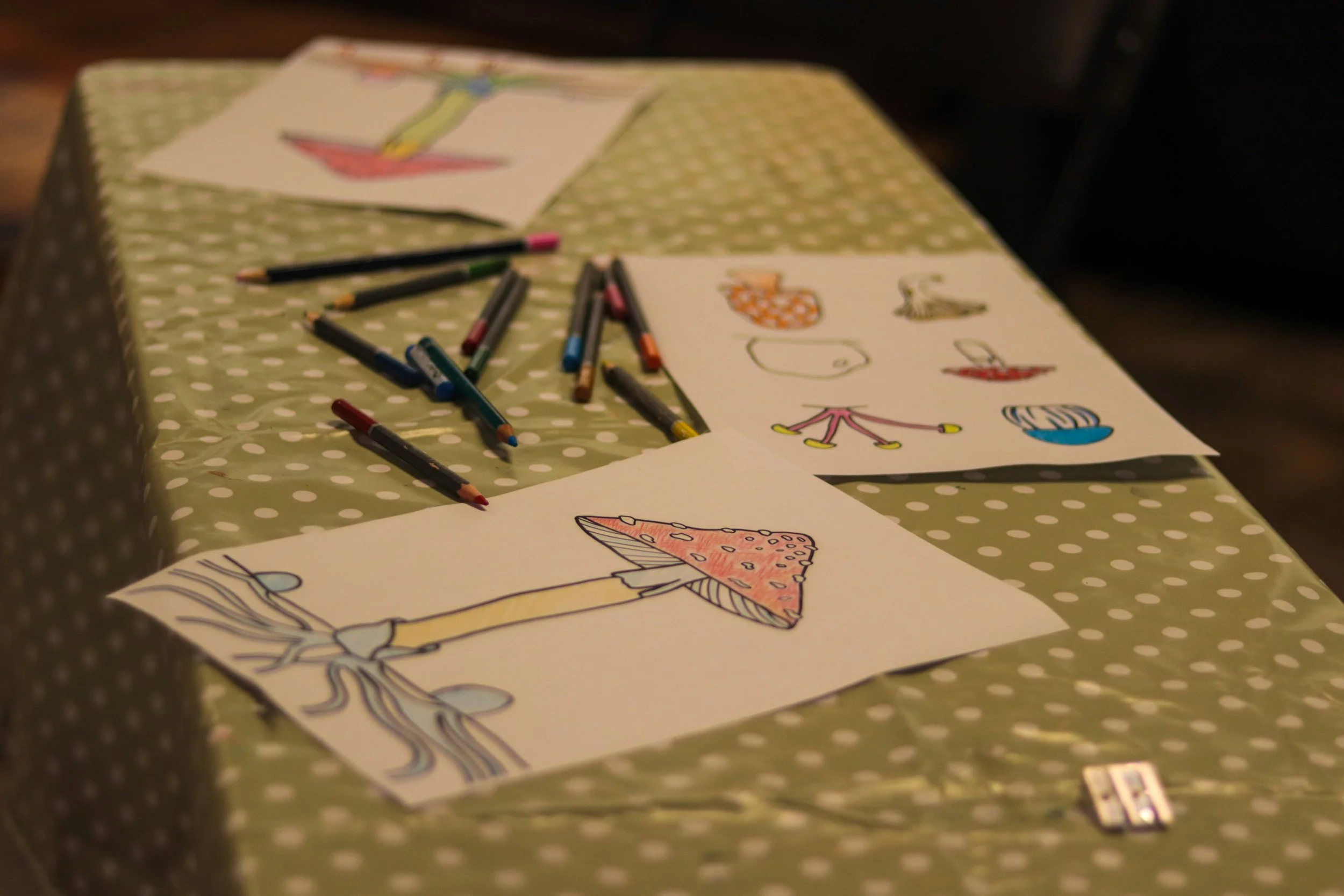 Fungi Exhibition (230).jpg