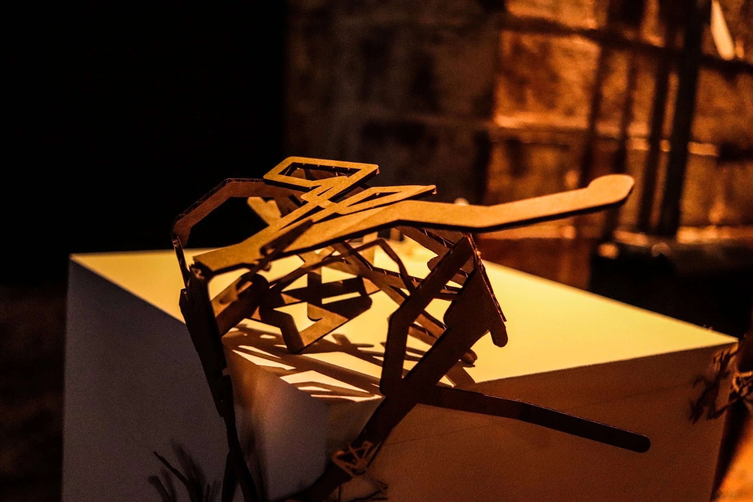 Fungi Exhibition (233).jpg