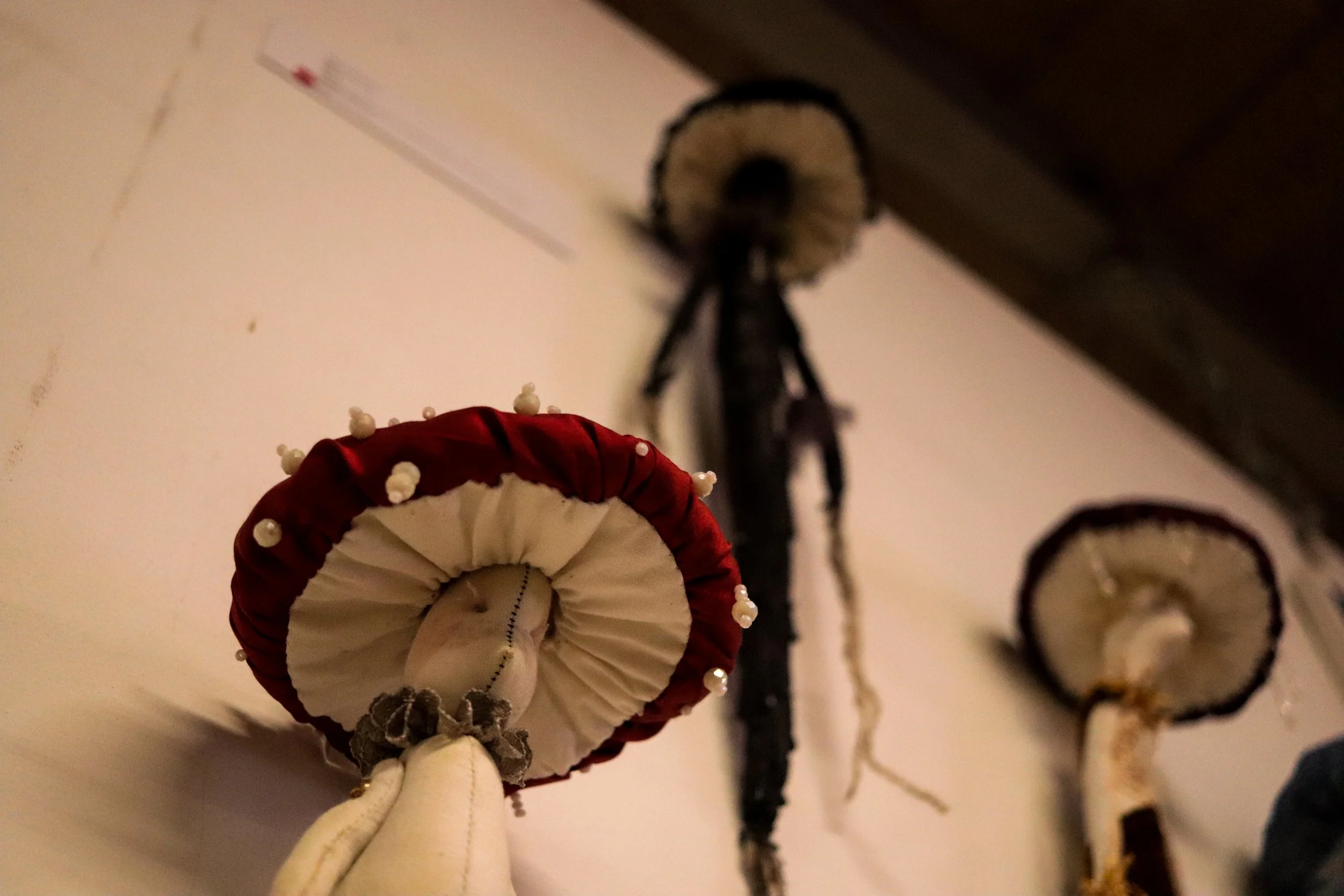 Fungi Exhibition (207).jpg