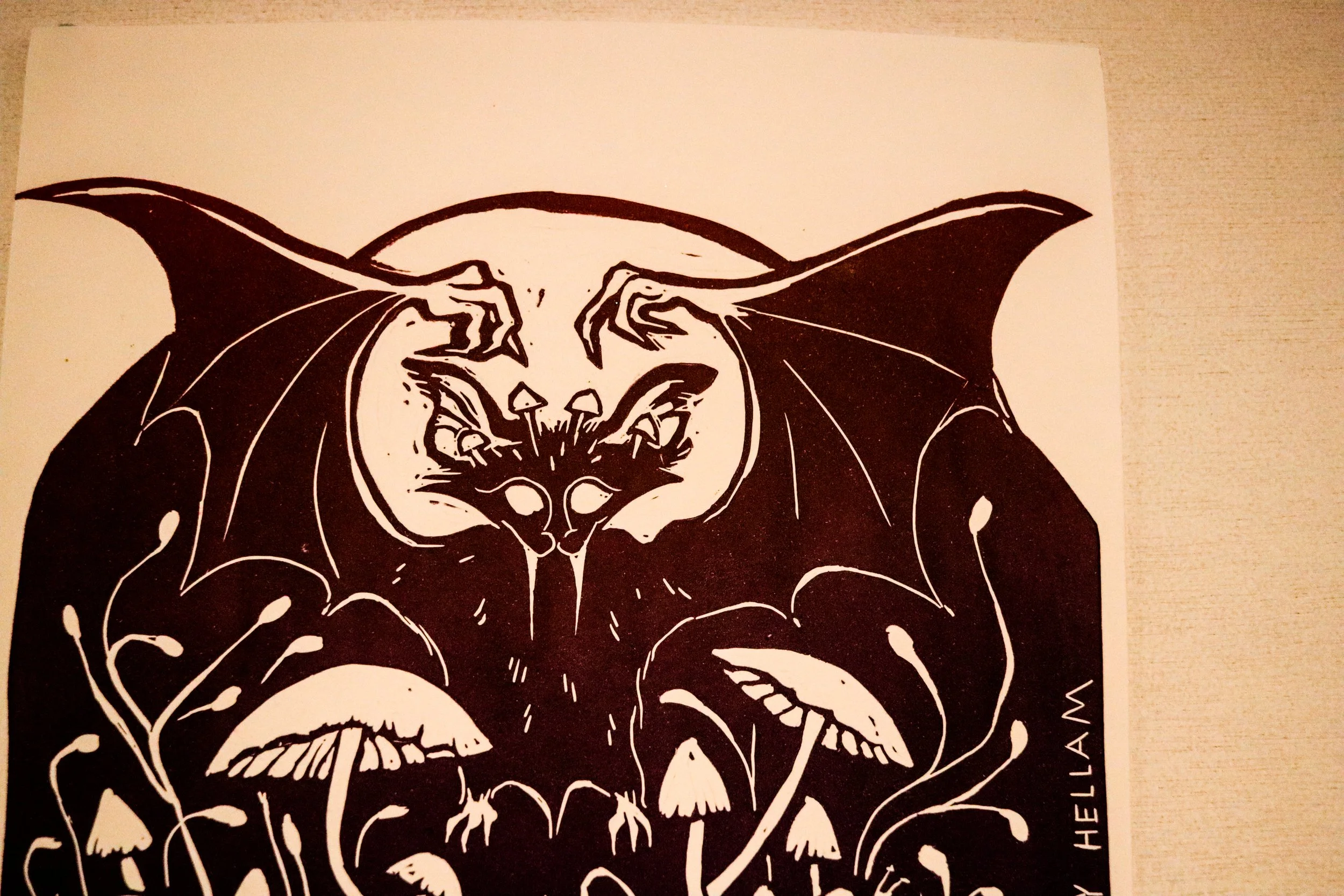 Fungi Exhibition (211).jpg