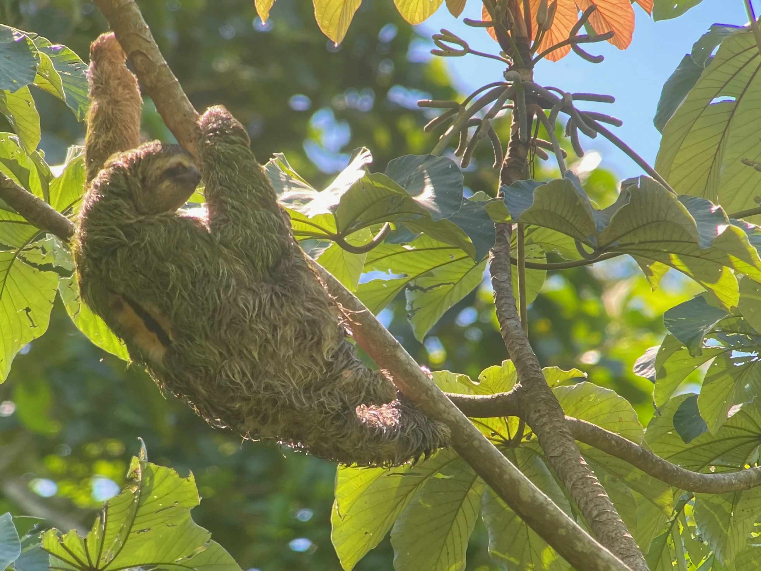 Interested in ecotravel? Costa Rica is your answer
