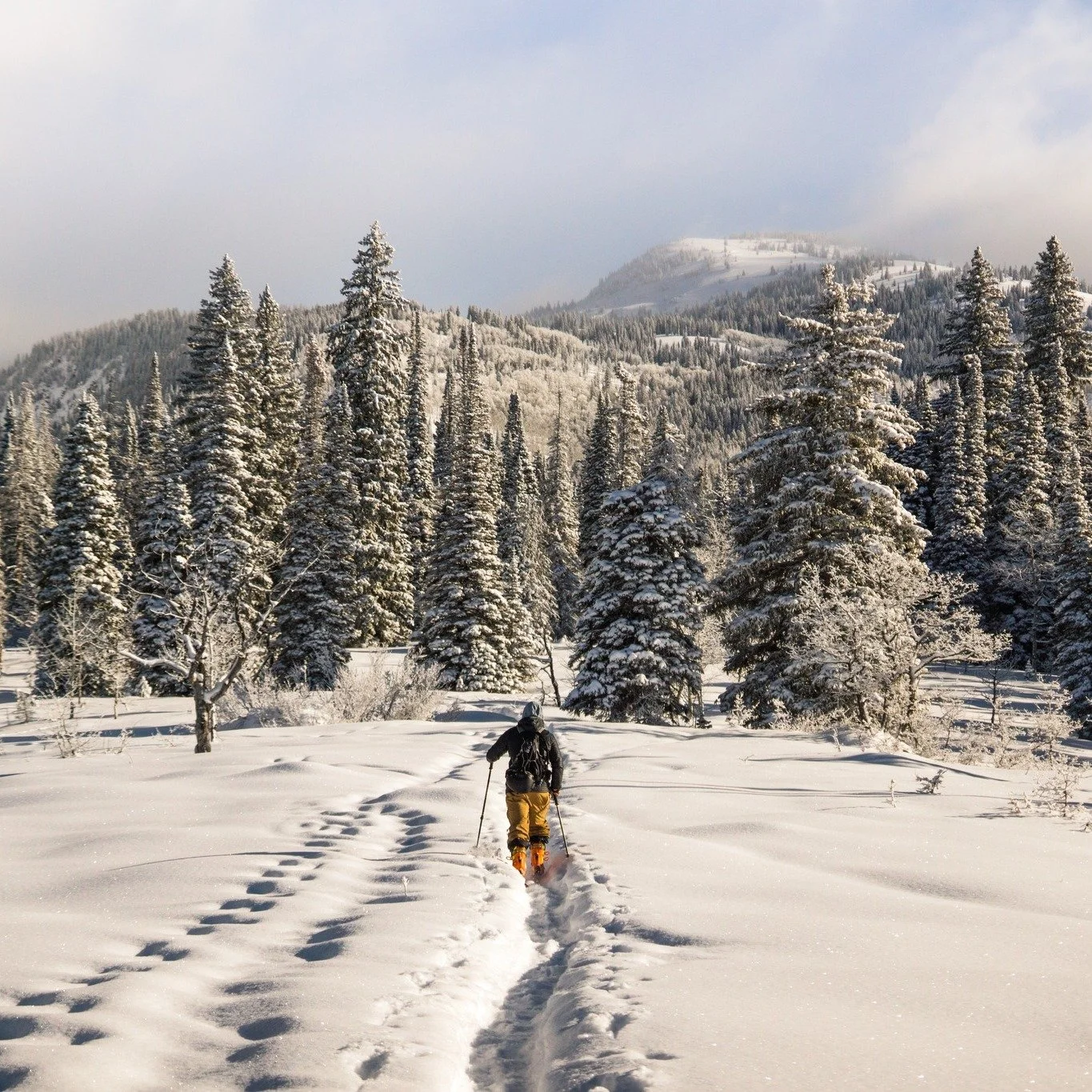 Snow-dusted peaks, fireside cocoa, and boutique lodges that feel like a Hallmark movie &mdash; welcome to the magic of the Rocky Mountains in winter.
