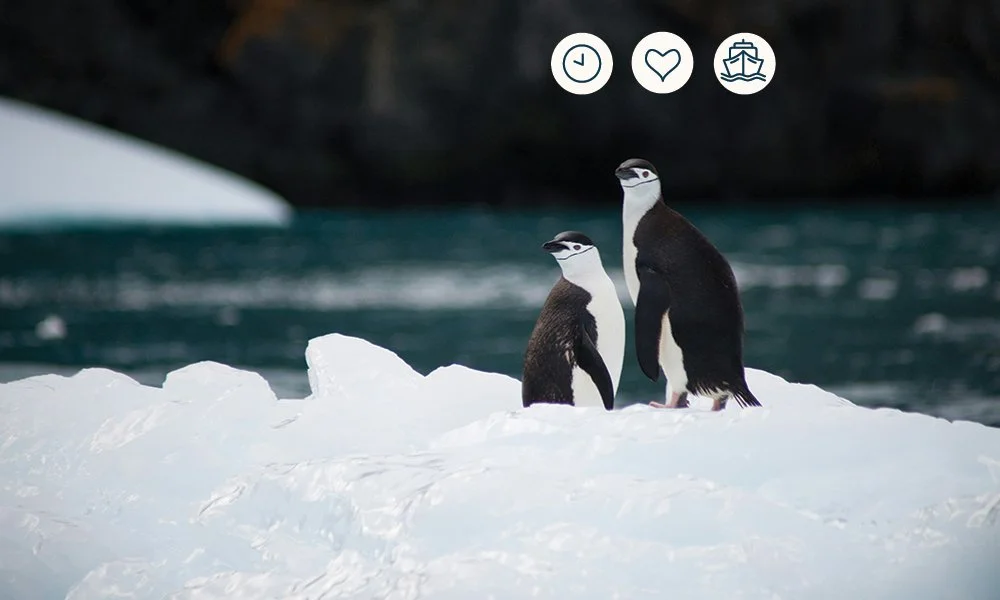 Antarctica — The White Continent in Ultimate Comfort