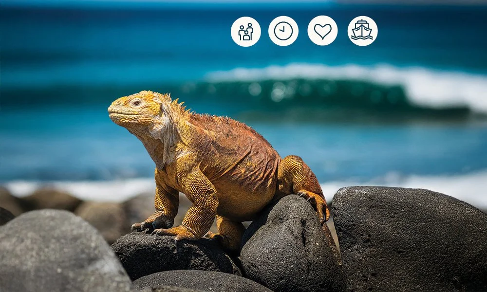 Galápagos — Wildlife, Wonder &amp; Once-in-a-LifetimeExploration