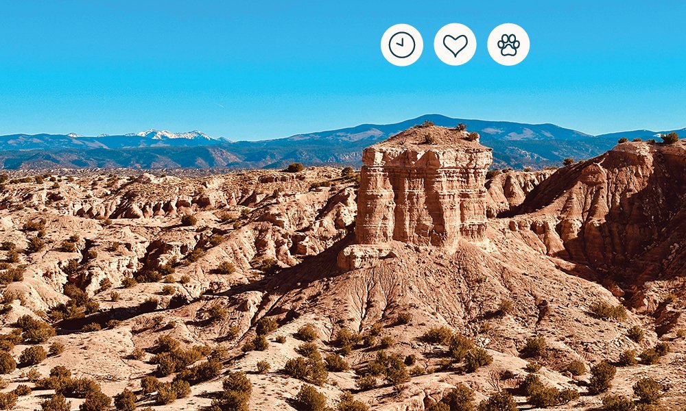 Pet-Friendly Escape to Santa Fe, New Mexico