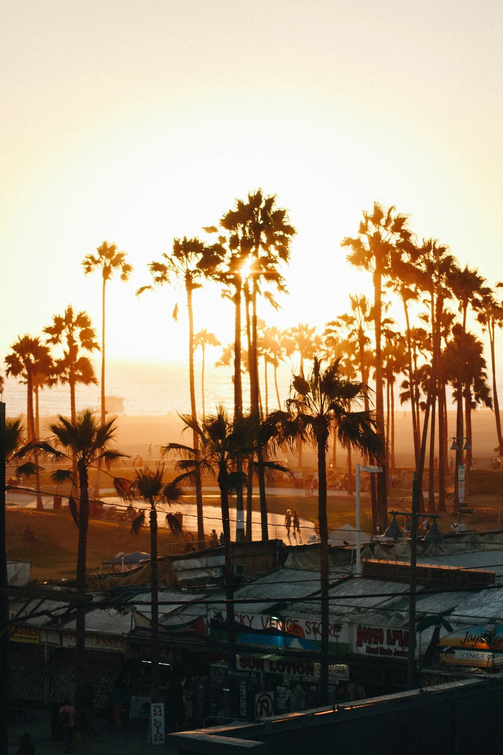 unsplash-image-oWpKOgwssTI.jpg