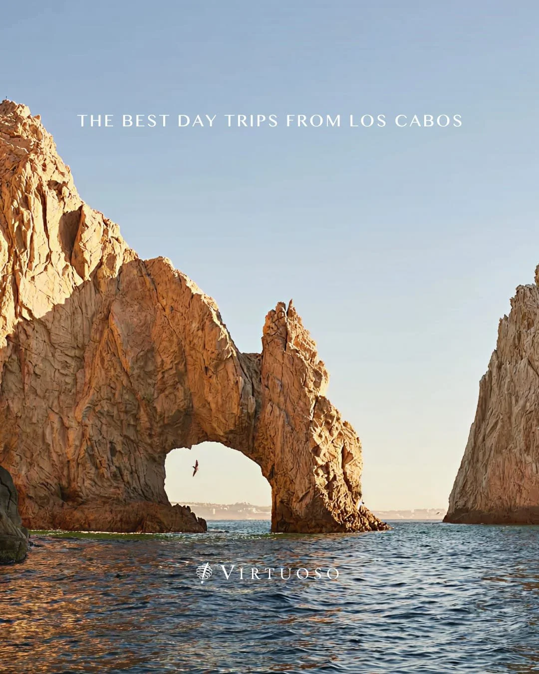 From waterfalls in the Sierra de la Laguna to whale encounters, coral reefs, and Baja&rsquo;s pueblos m&aacute;gicos, Los Cabos is a gateway to some of Mexico&rsquo;s most striking landscapes. 🌊☀️

Let's connect to craft customized day trips that br