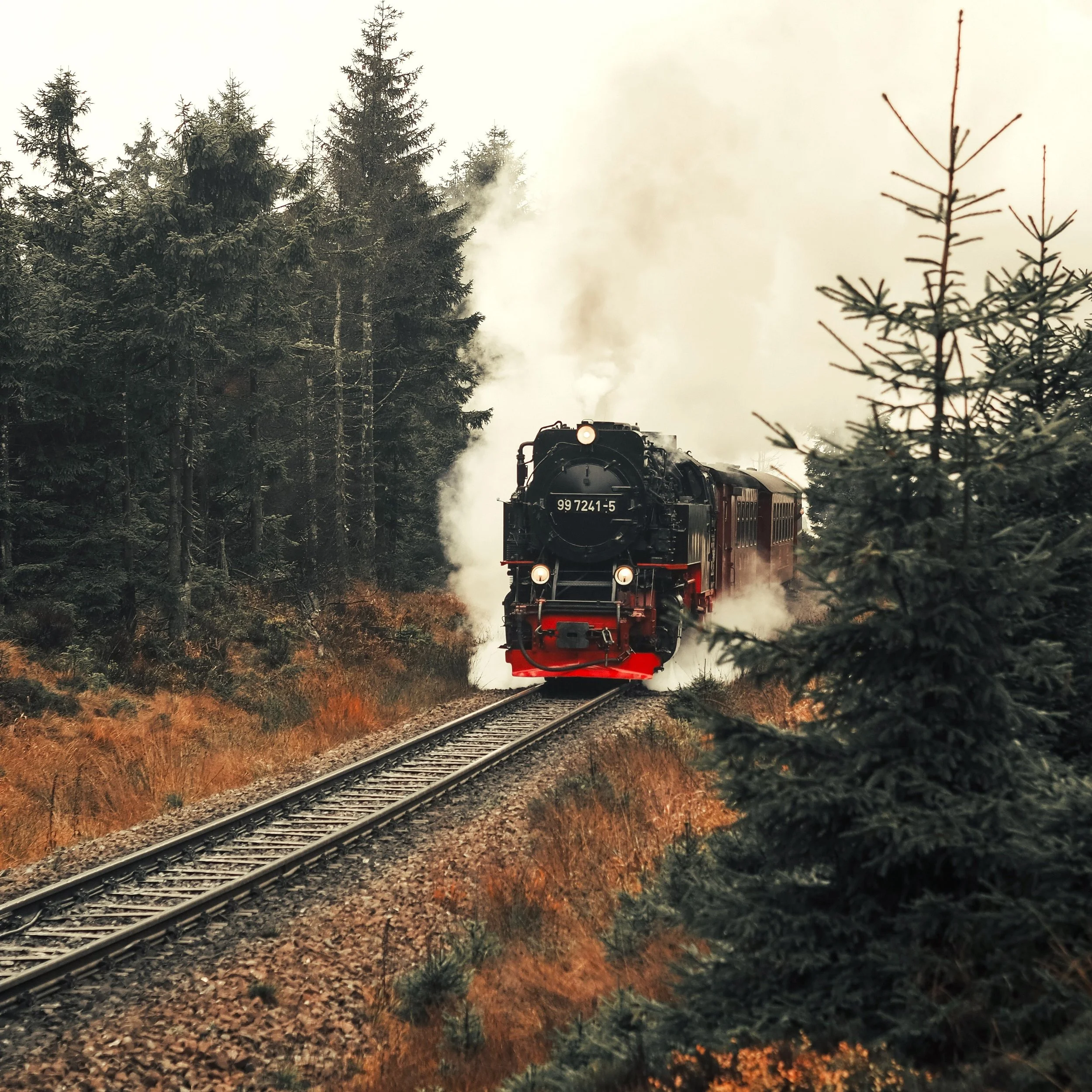 7. Train.jpg