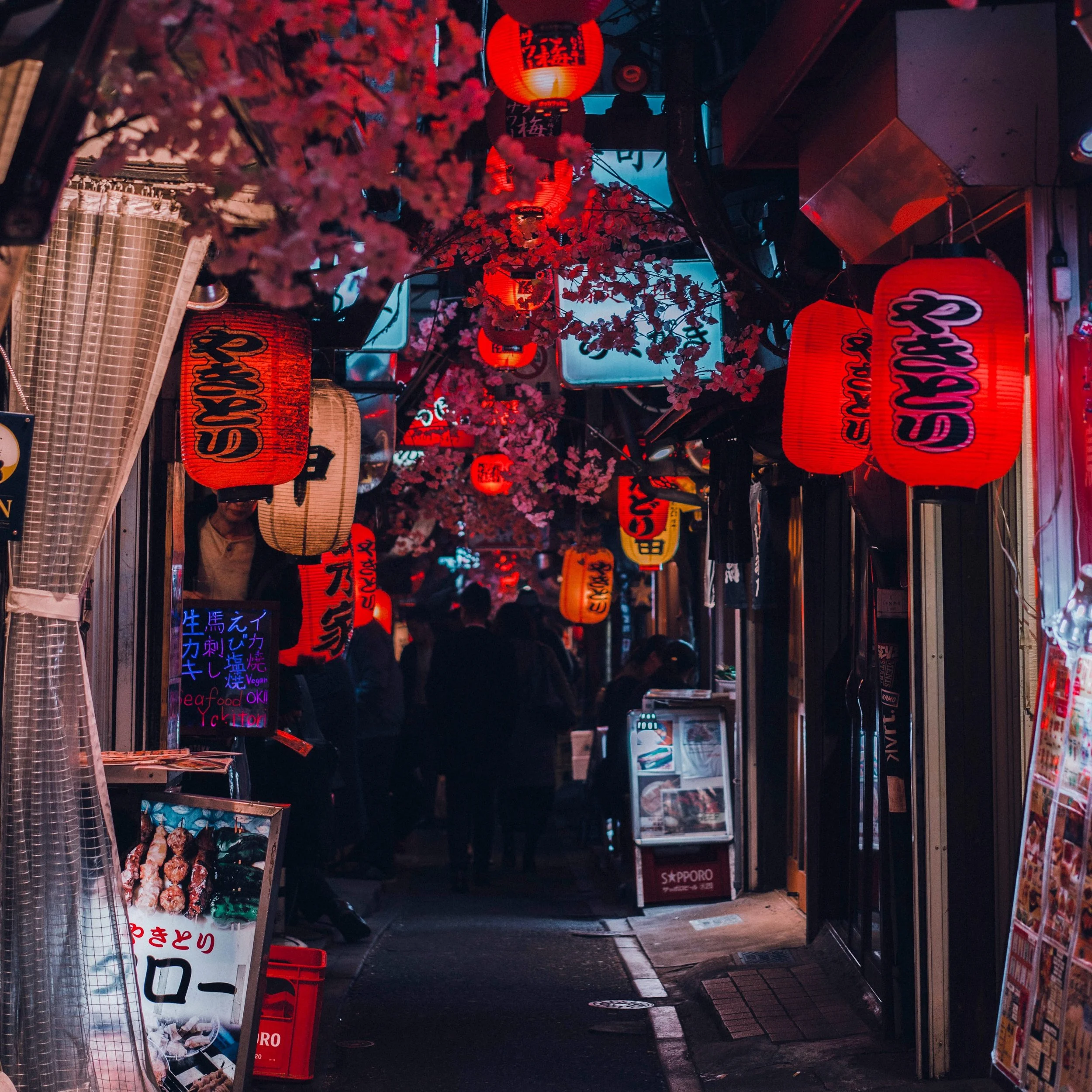 4. Japan.jpg