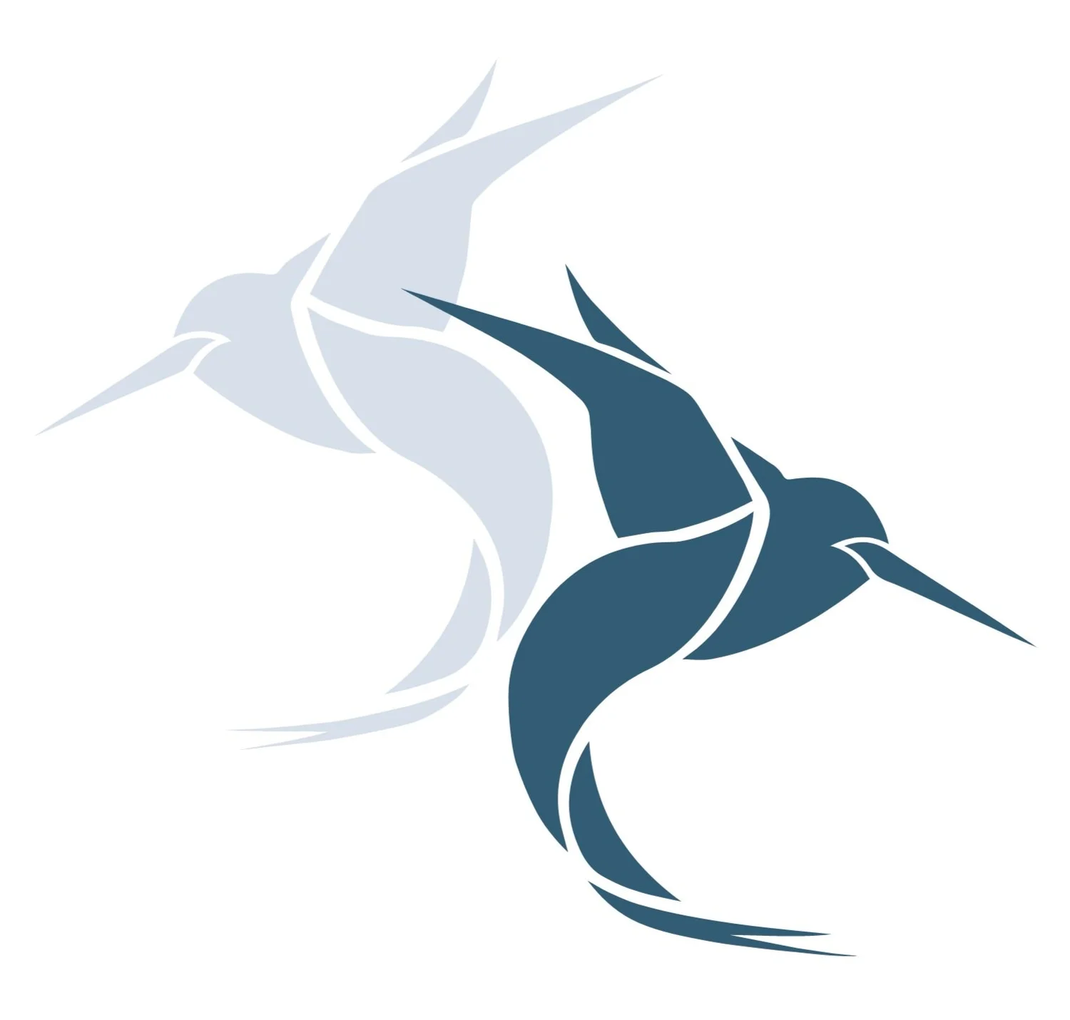Two Birds Travel