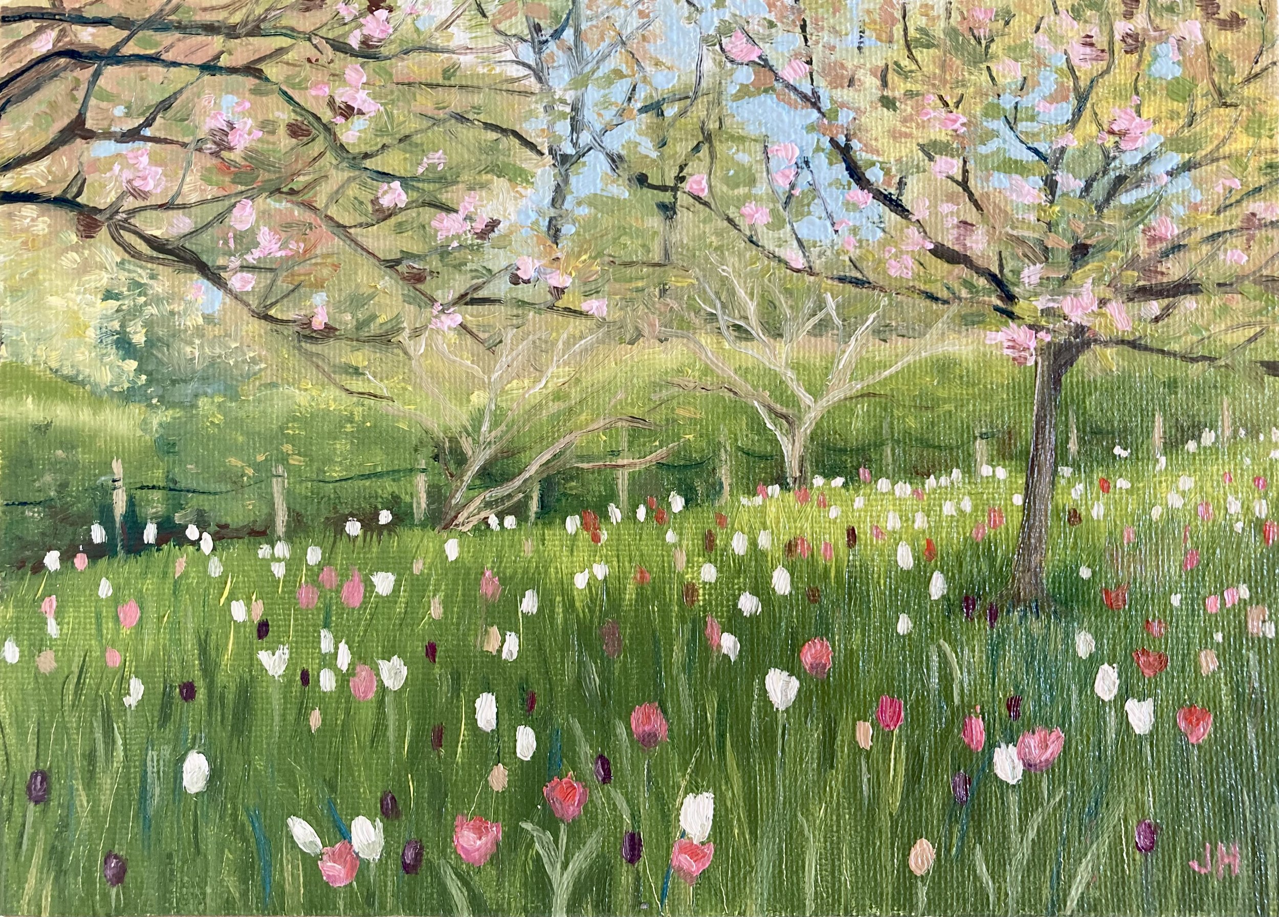 Cherry Blossom and Tulips   Oil on canvas board  7" x 5" exc frame