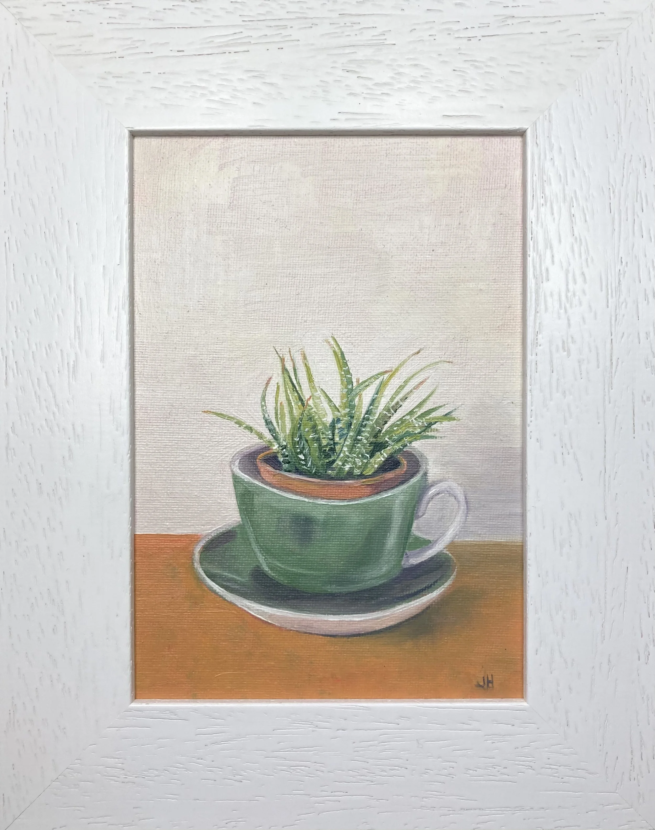 Haworthia in a Teacup 5" x 7" exc frame.
Oil on canvas board