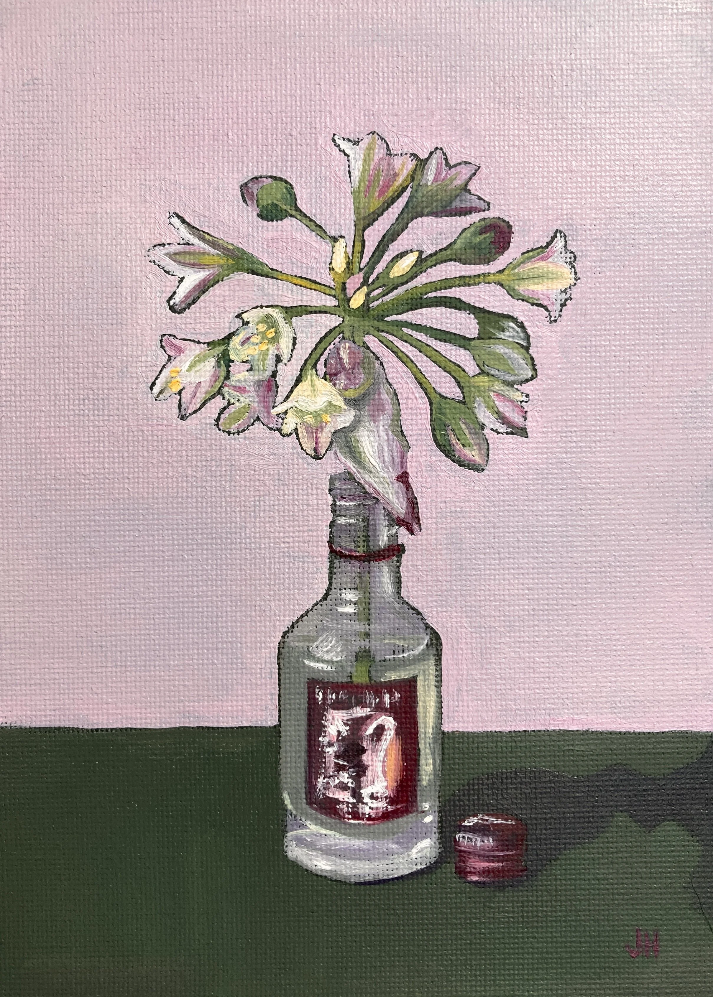 Allium Siculum  oil on canvas board 5" x 7" exc frame. £100 includes white wood frame