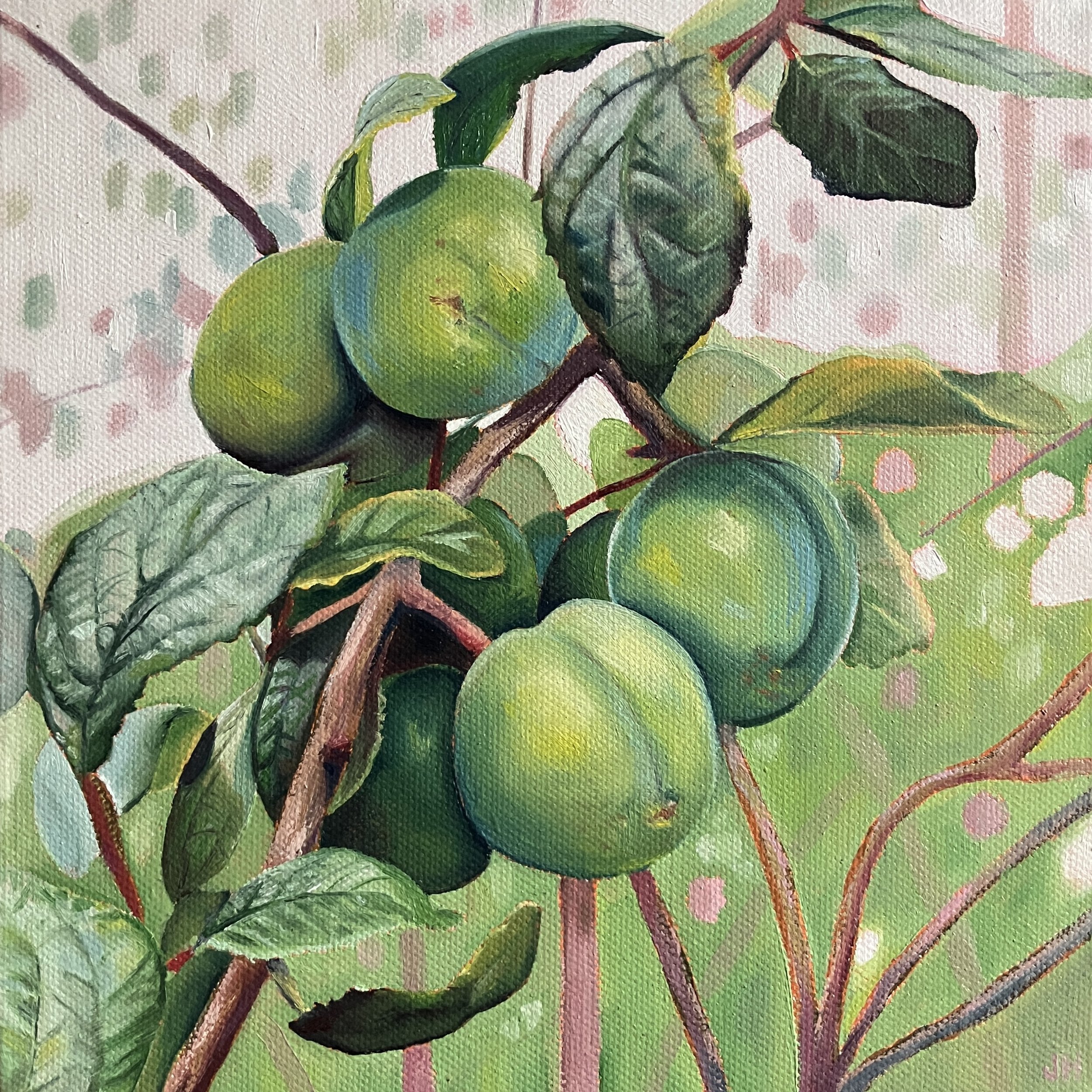Plum Tree   oil on deep canvas  8" x 8"