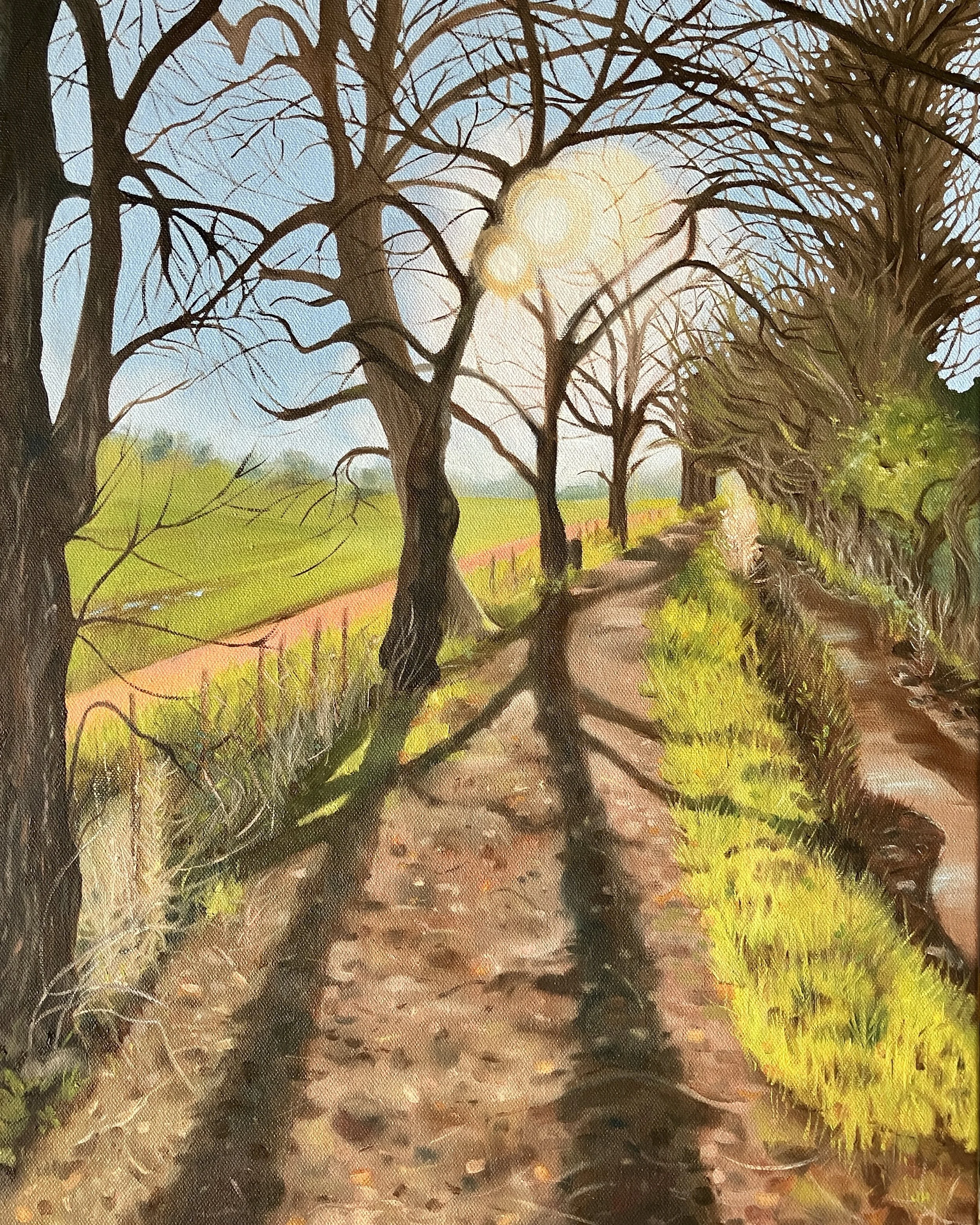 New Year    Oil on deep canvas  40cm x 50cm   £500