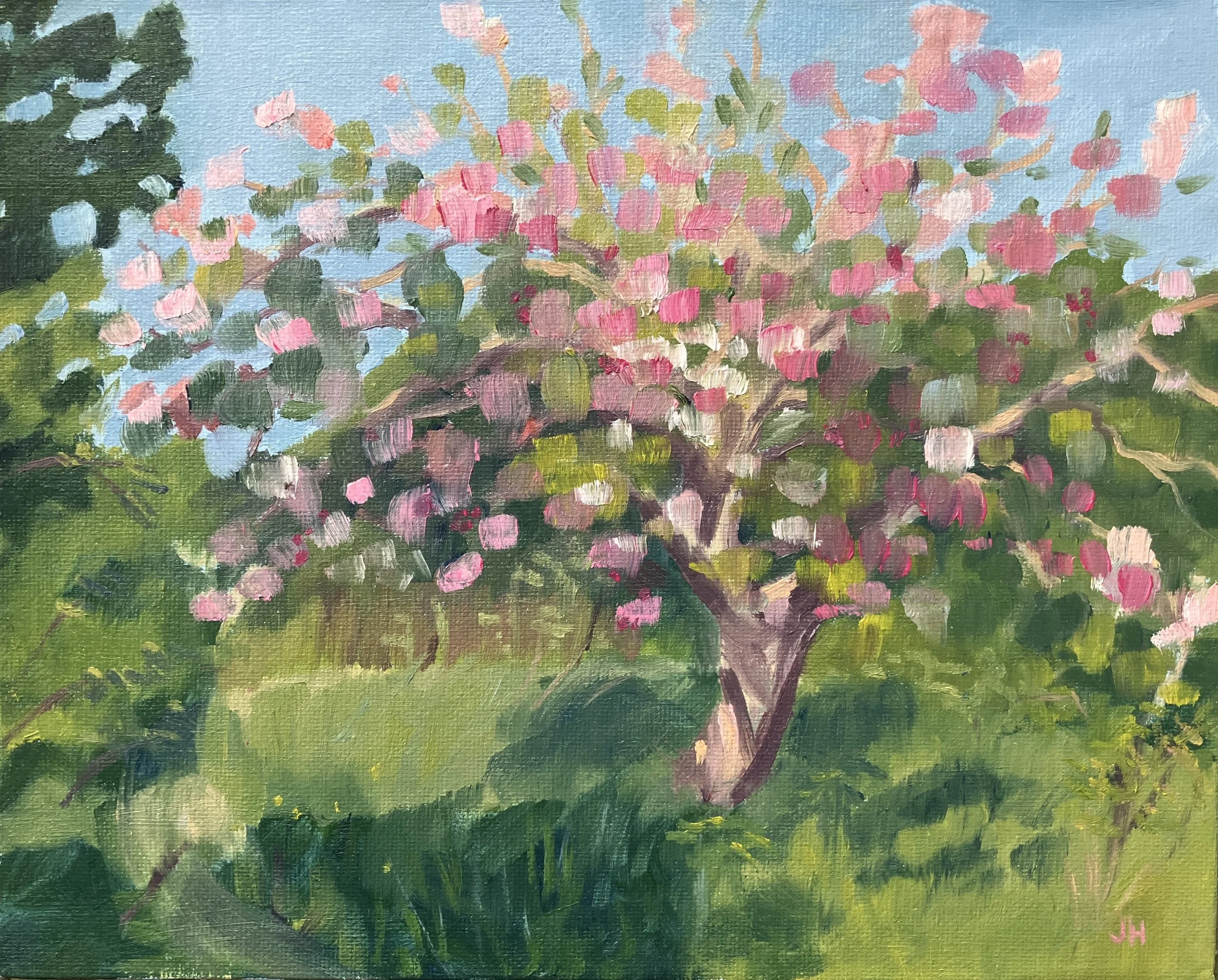 Apple Tree 3  8" x 10" oil on canvas board in white wood frame  £120