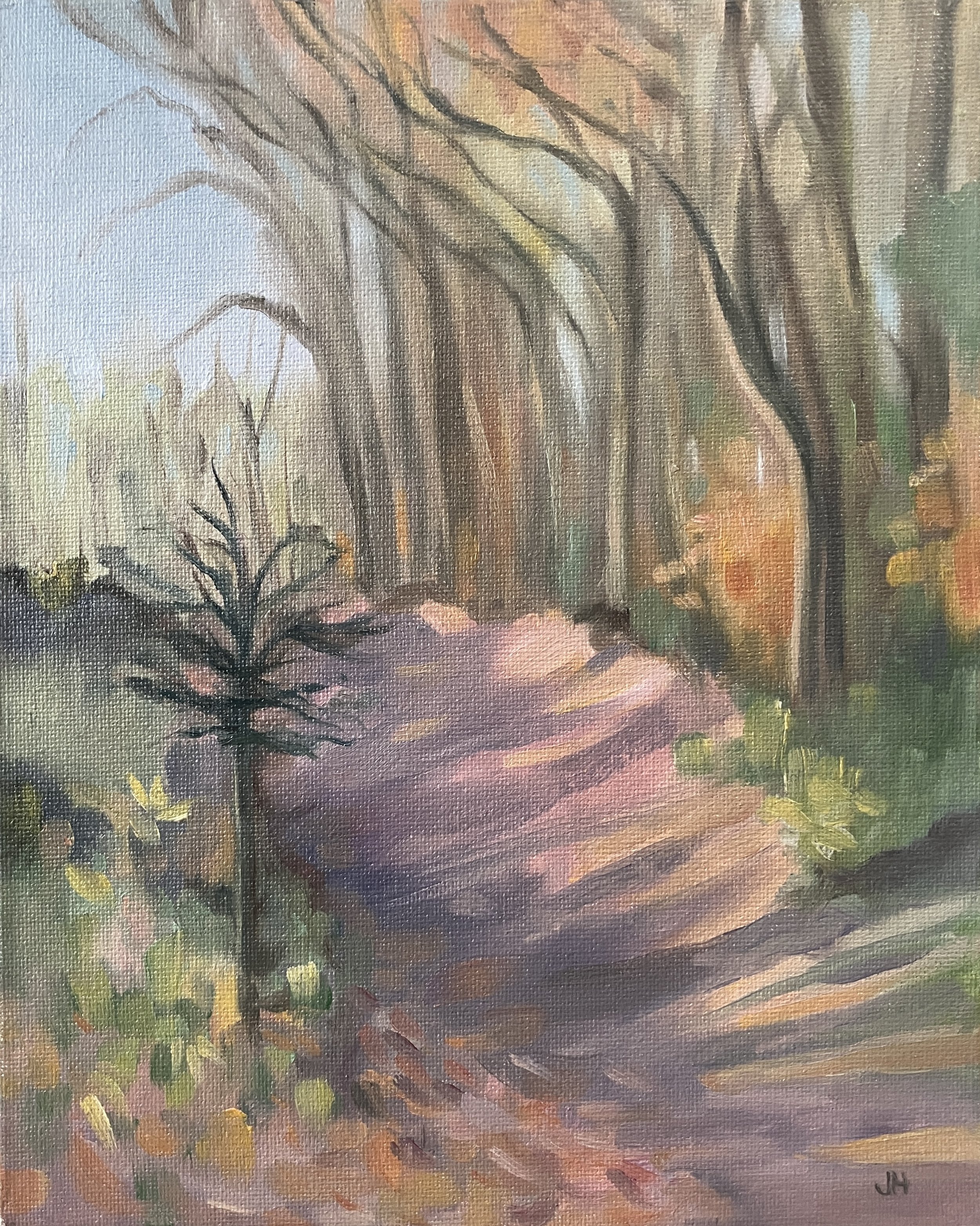 January Frith Wood Nature Reserve oil on canvas board 8" x 10" in white wood frame £170