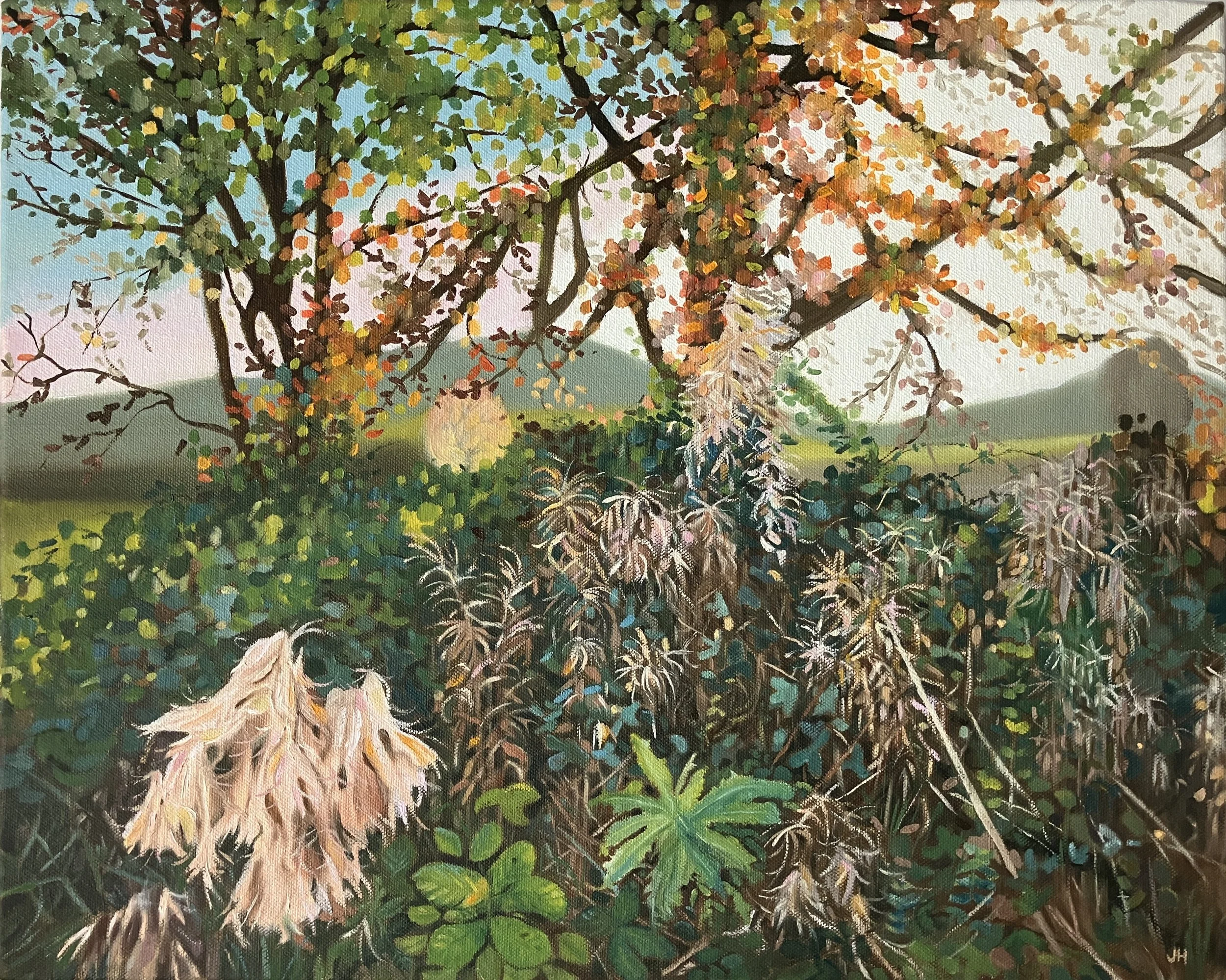 Travellers Joy   Oil on deep canvas  50cm x 40cm   £500