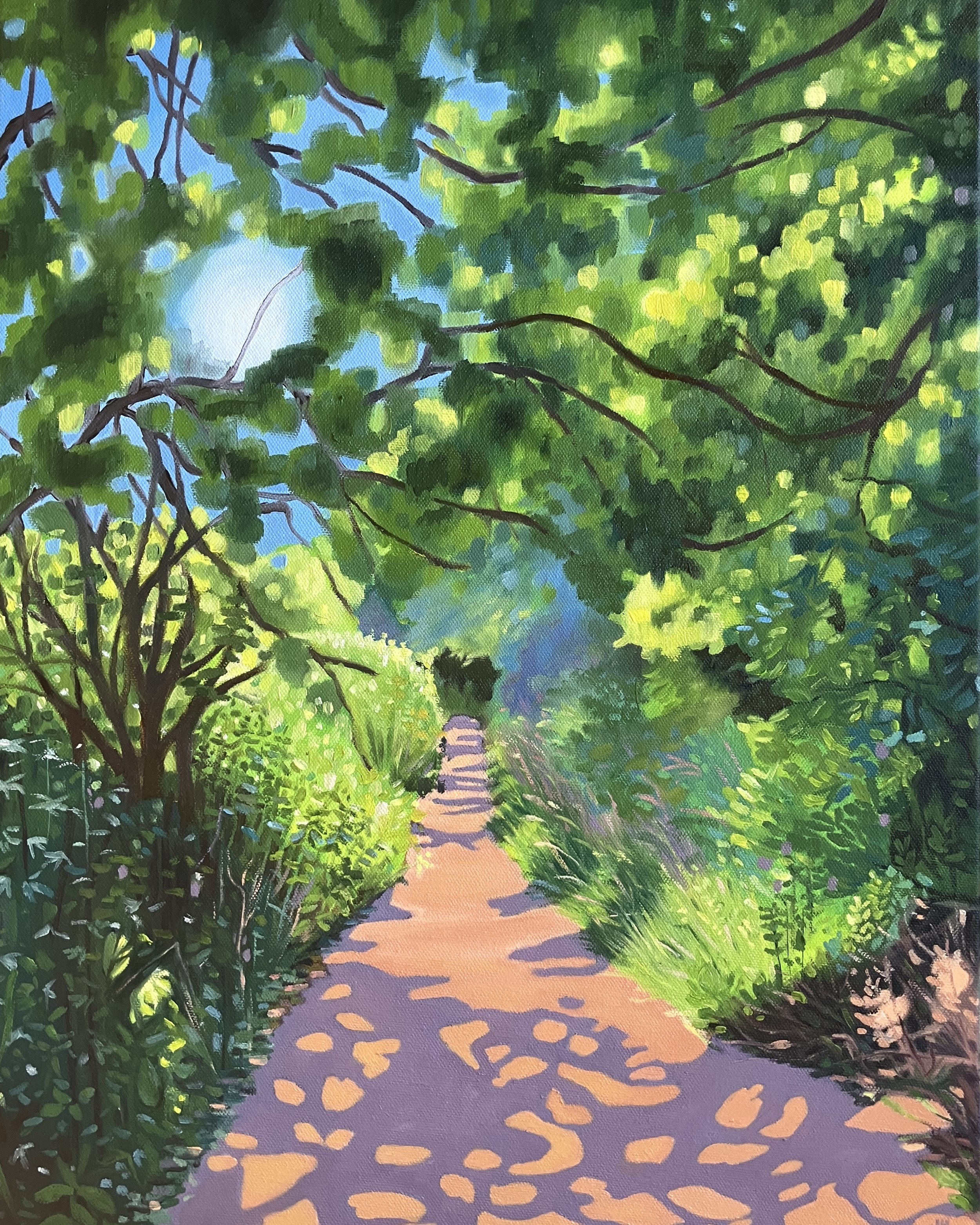 Dappled     Oil on Deep canvas   40cm x 50cm  £400