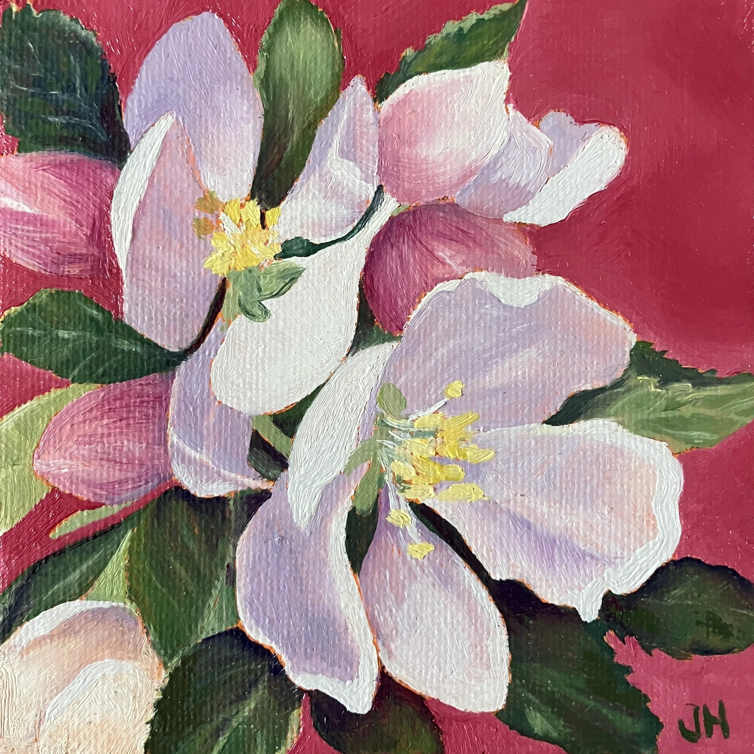 Apple Blossom oil on mini canvas 4" x 4"