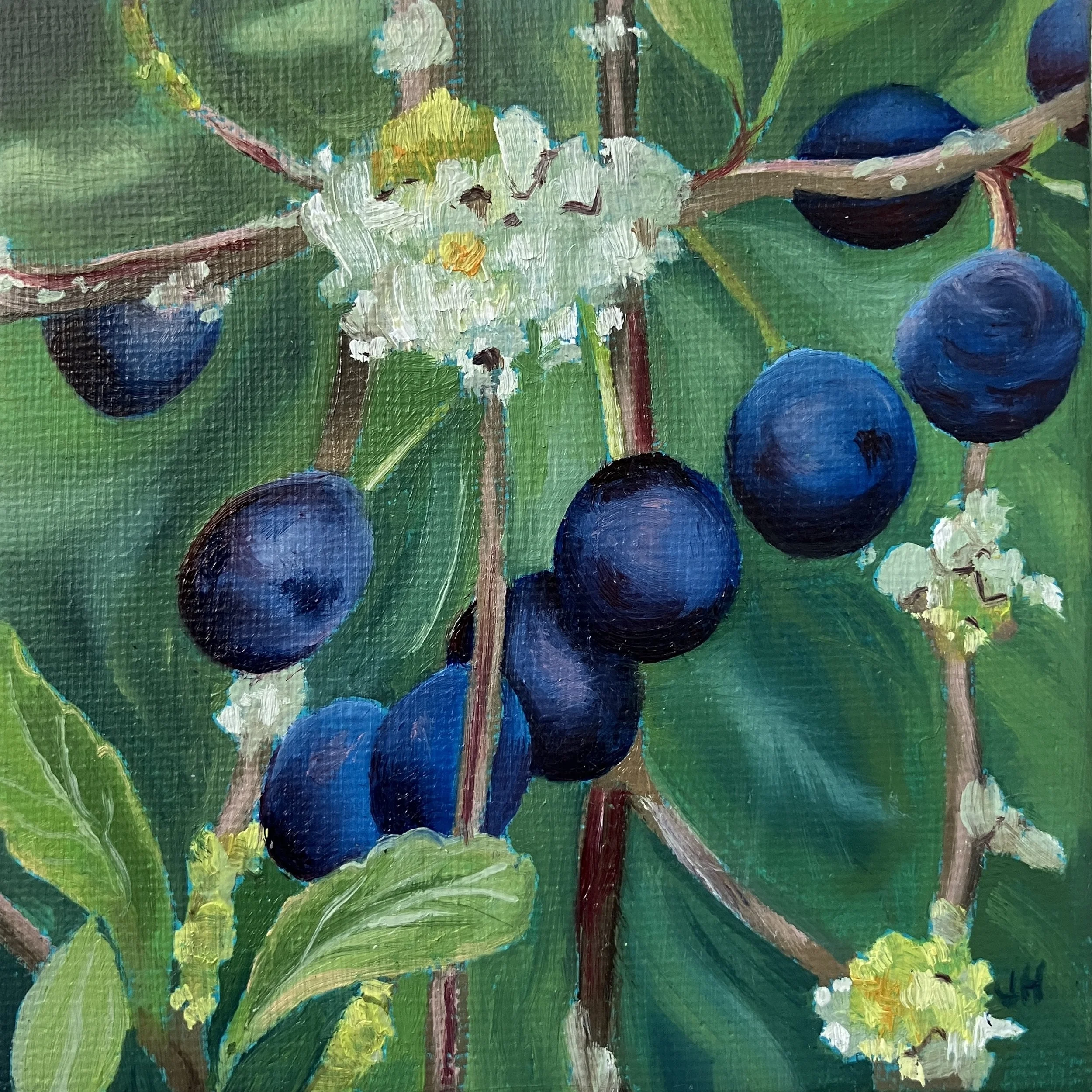 Sloes   oil on canvas 4" x 4"