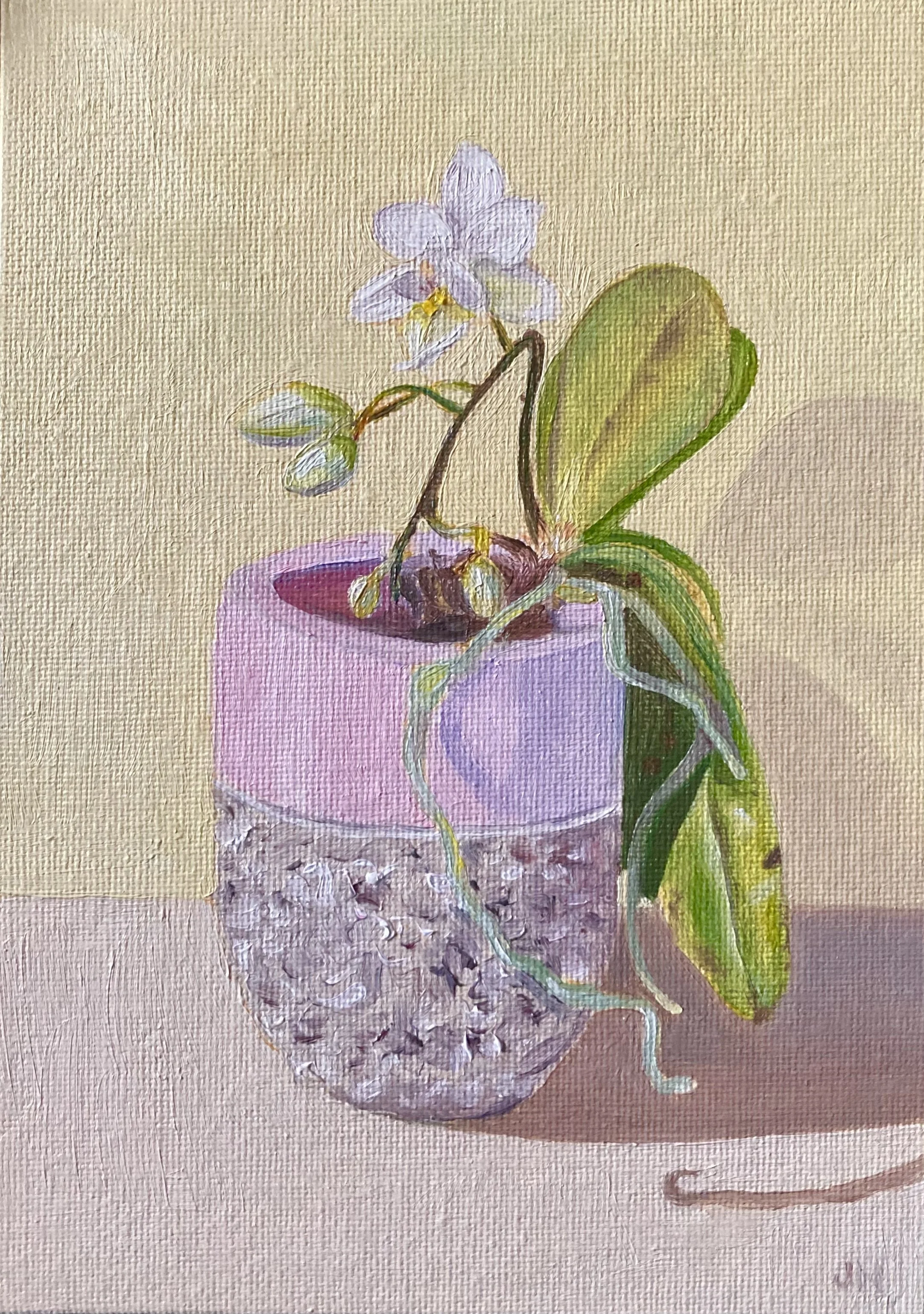 Little Lady   oil on canvas board  5" x 7" exc frame