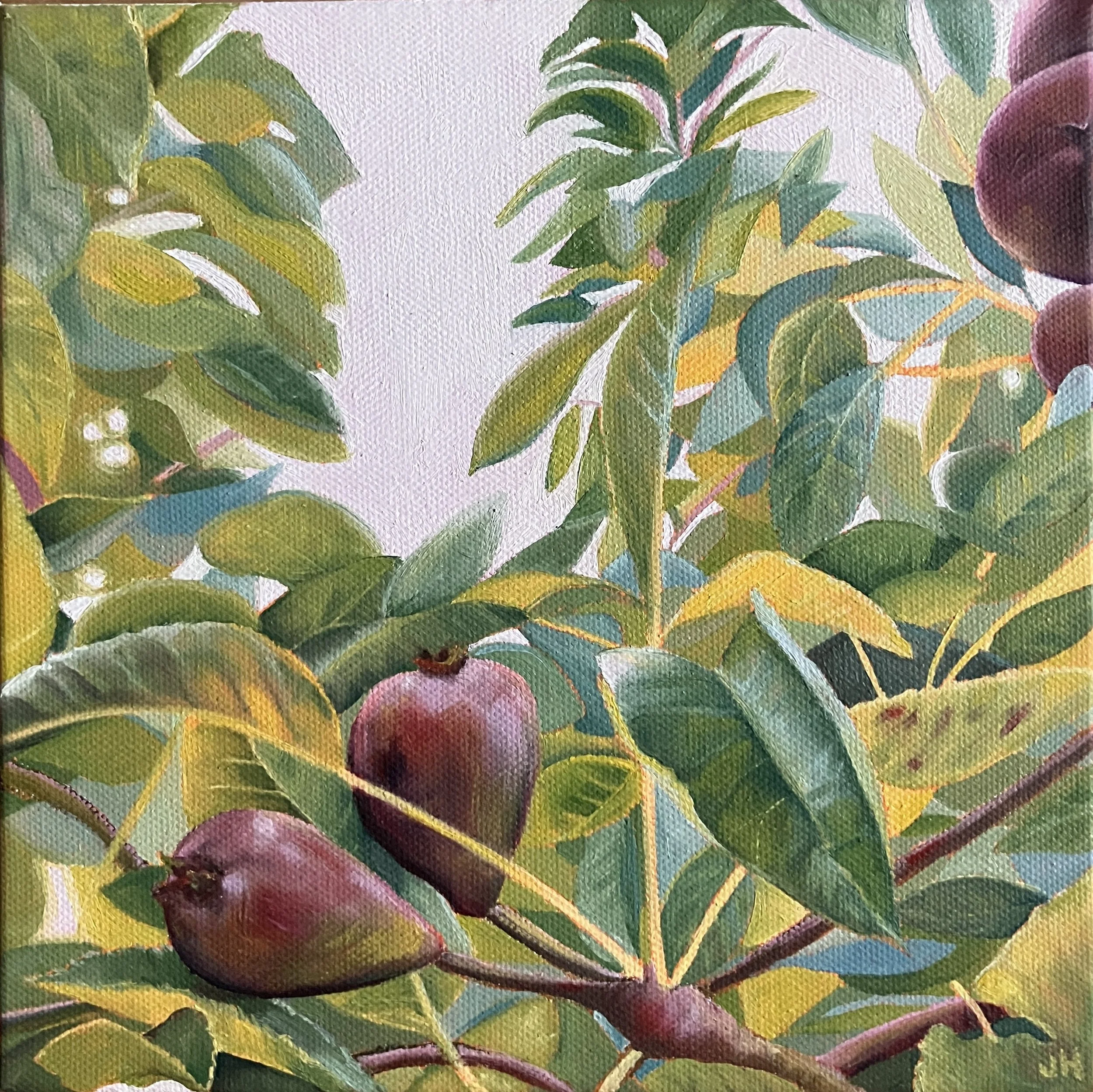 Pear Tree  oil on deep canvas 8" x 8"
