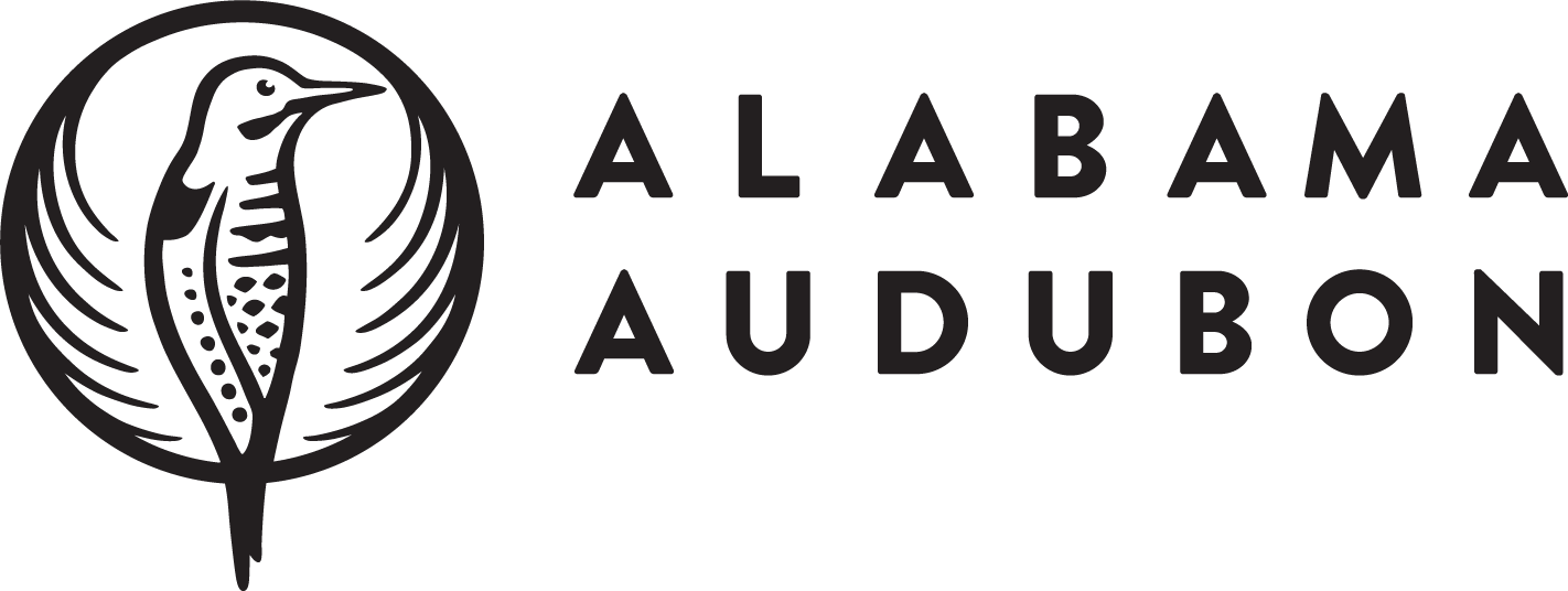 ALABAMA AUDUBON