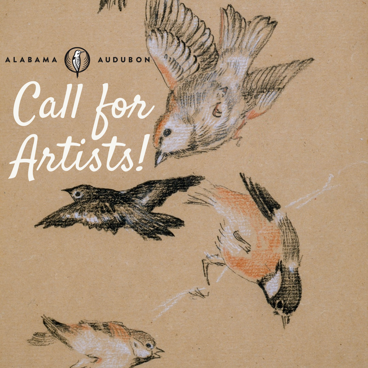 Call for Artists, Bird of the Year 2027