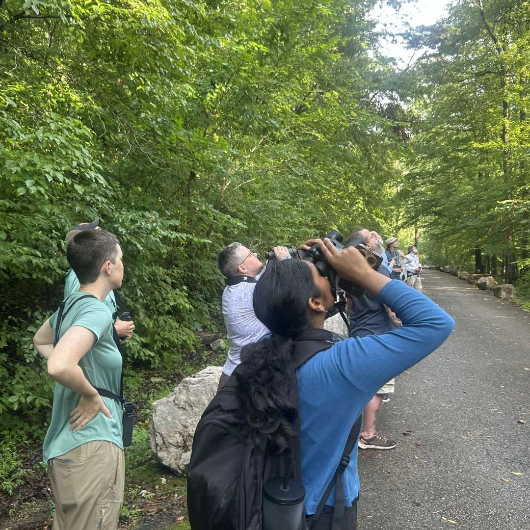 Lets Go Birding Together at Turkey Creek