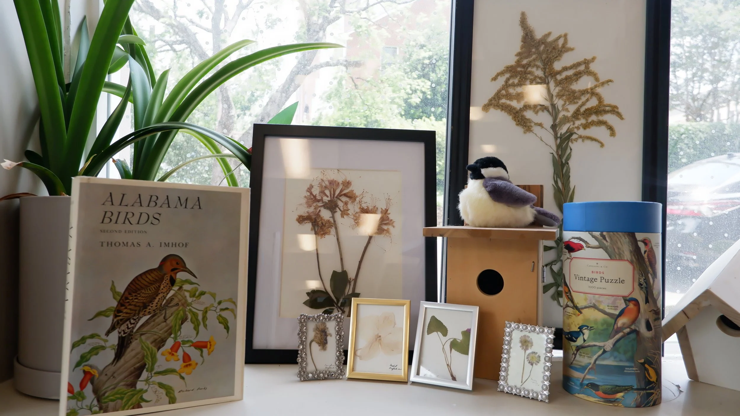 Feathered Flea Market and Audubon Open House