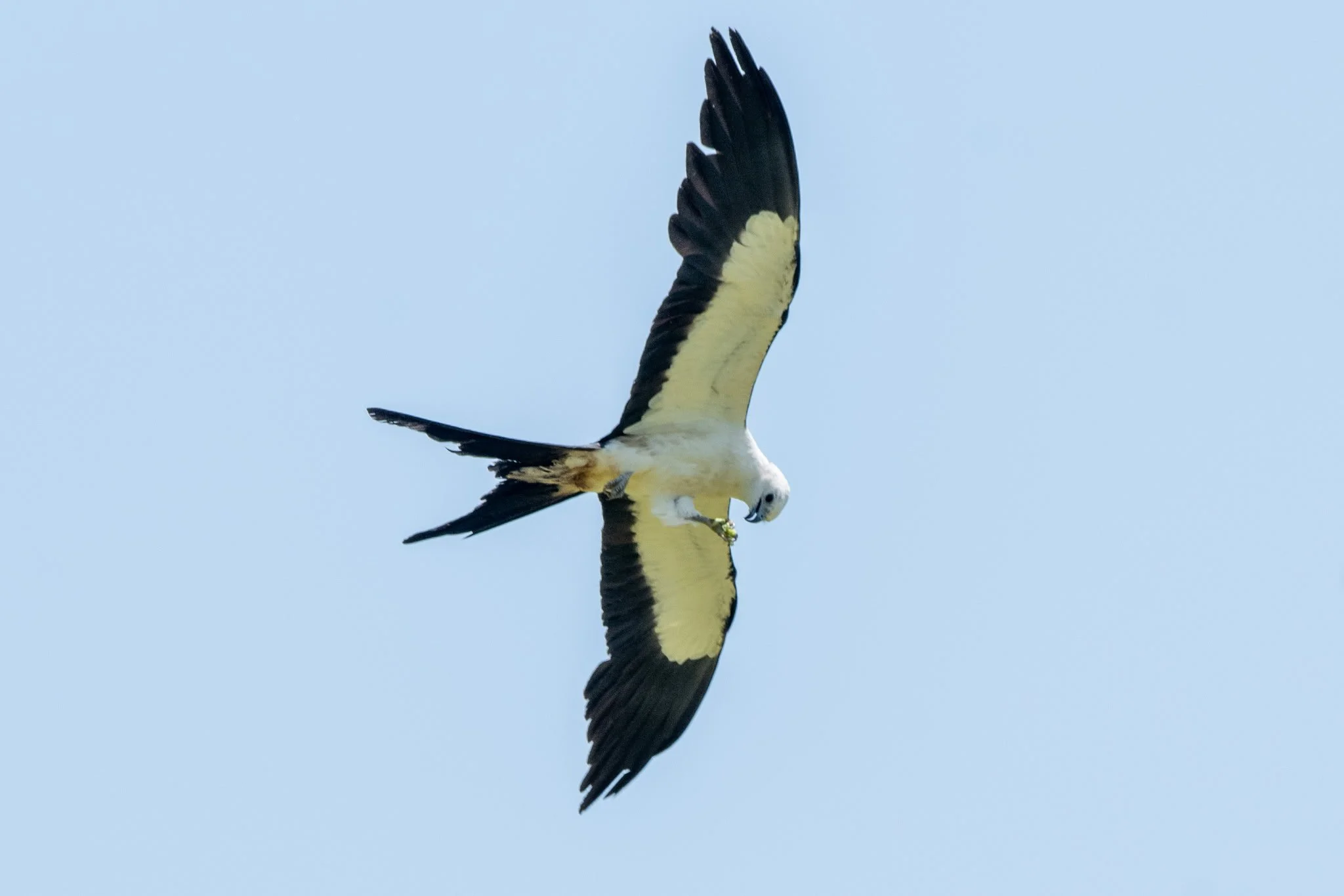 DSC_3974.JPG