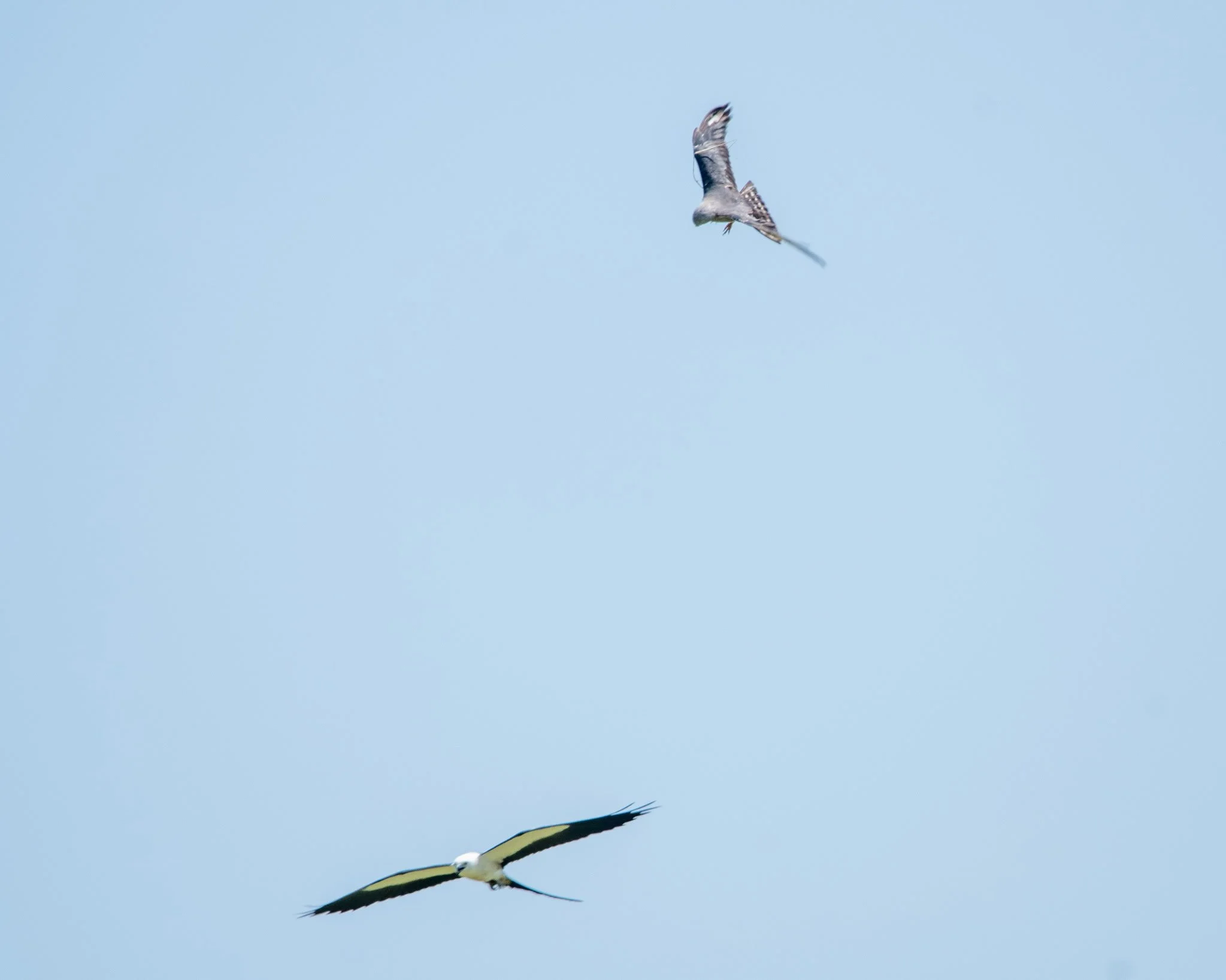 DSC_4024.JPG