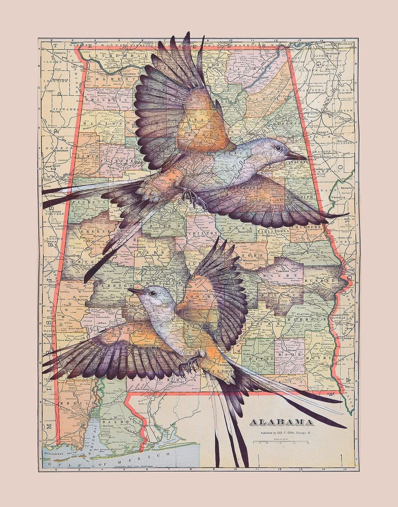 2026 Bird of the Year Print (Pre-Order)