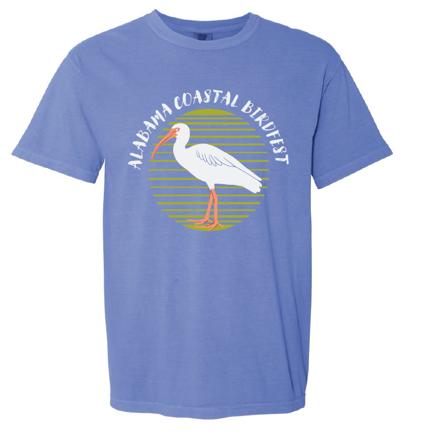 Screenshot 2026-04-29 at 9.18.06 AM.png