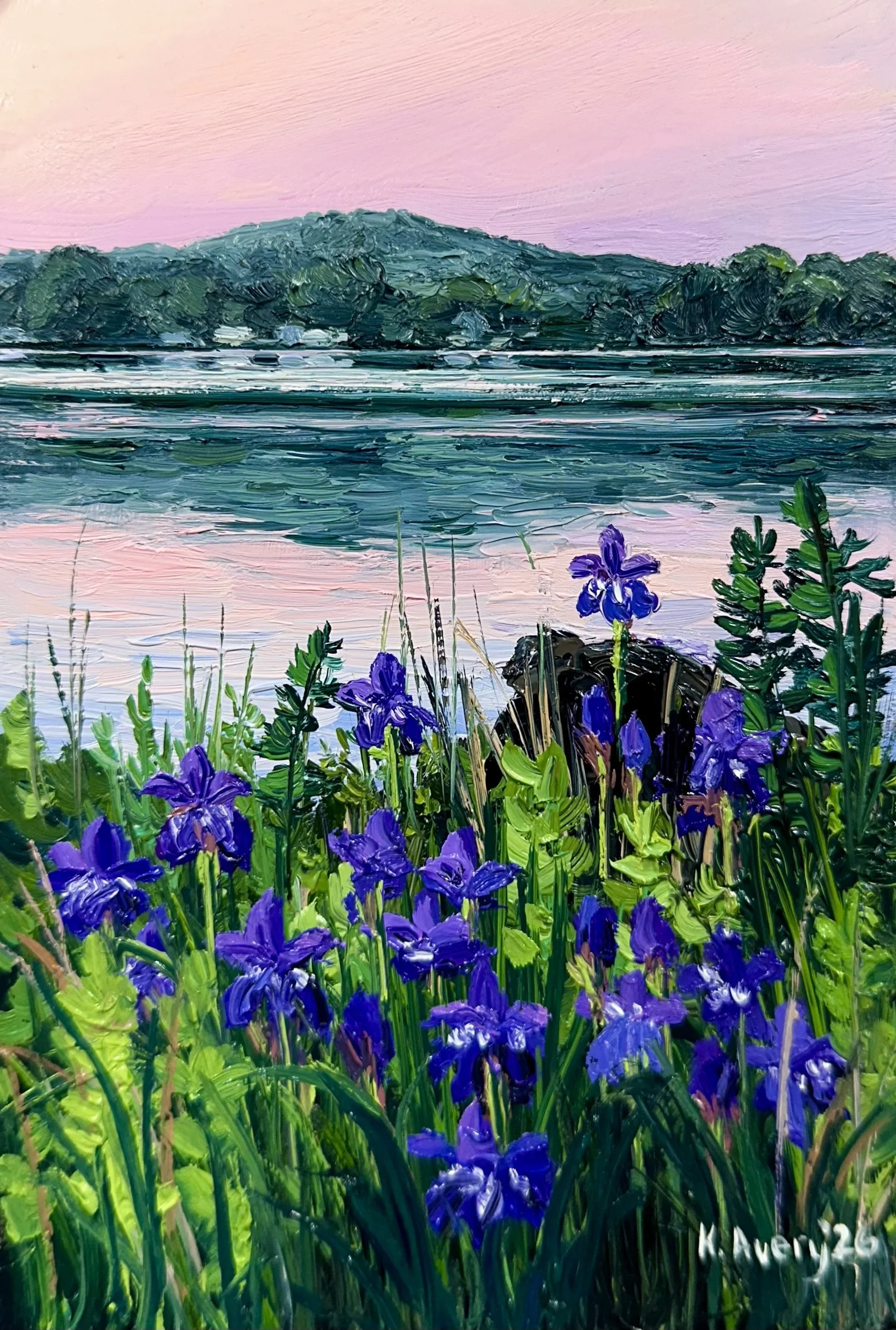 Wild Iris at Dawn- Lake Pocotopaug, East Hampton, CT