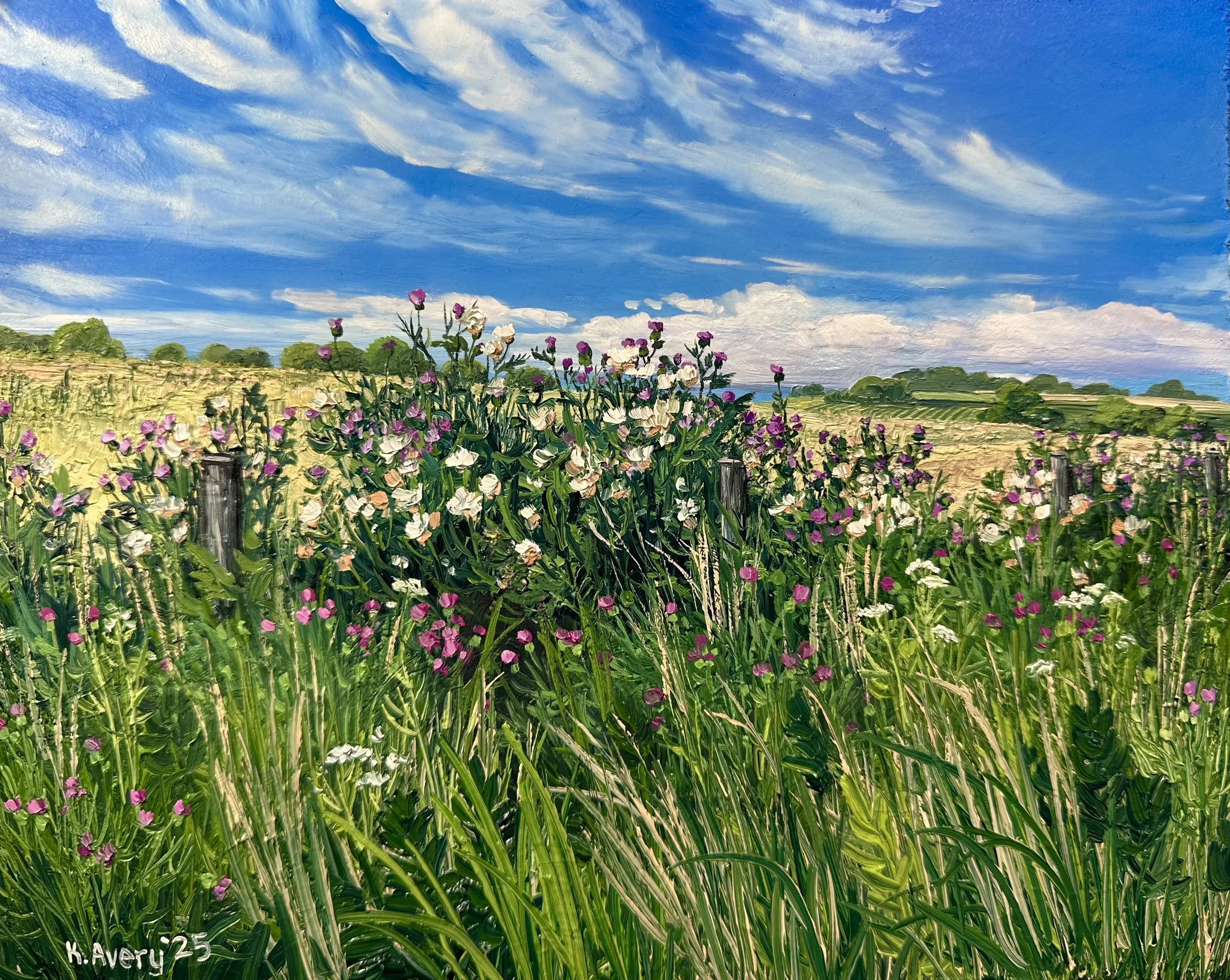 Thistle along the Fence Line- Whitby, England